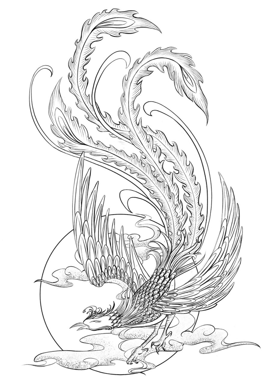 四神兽,朱雀,夏季,祥瑞象征 国风插画线稿 朱雀,是中国古代神话中的天