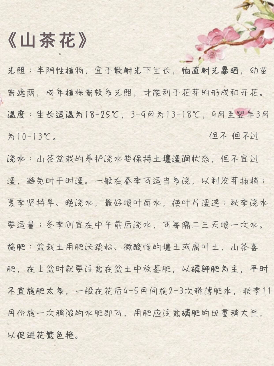 每天分享一个养护小知识—保罗大叶伞 大叶伞从外形看就像我国古代的