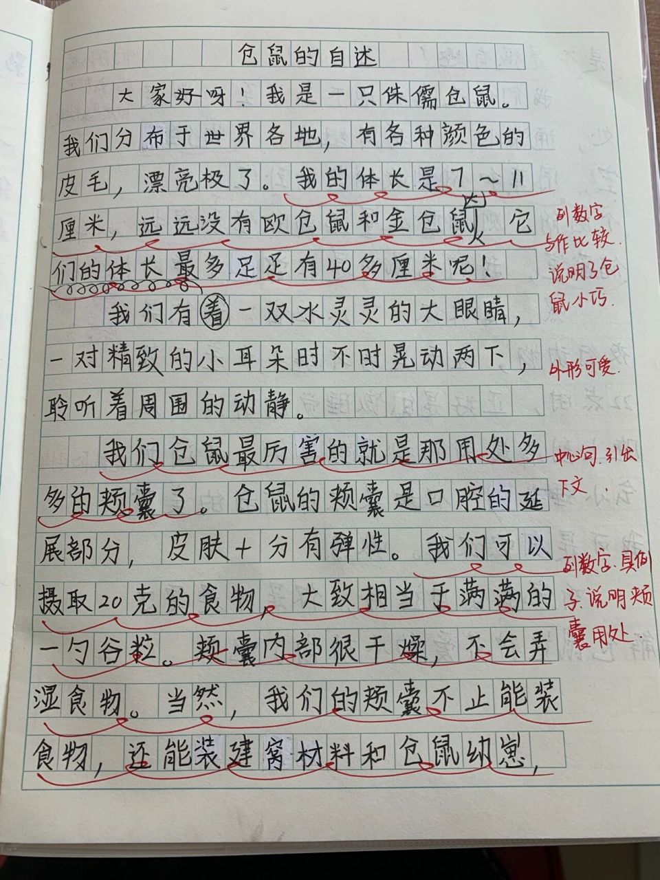 介绍一种事物作文200字图片