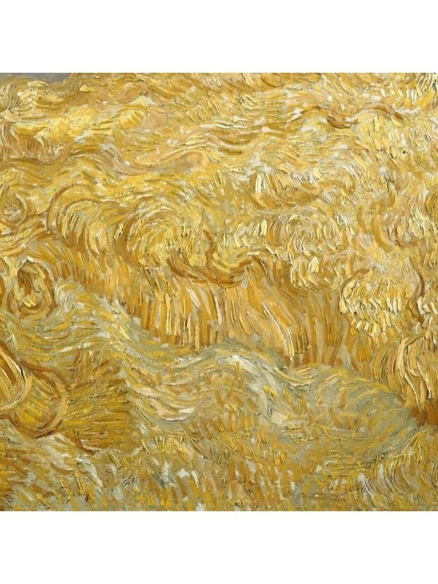 每日一画 | 名画鉴赏【麦田与收割者】梵高 9090作品简介: 《麦田