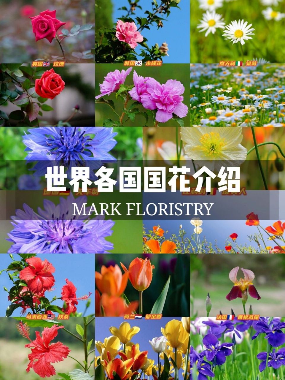 知识分享|你知道各国家的国花都是什么吗?
