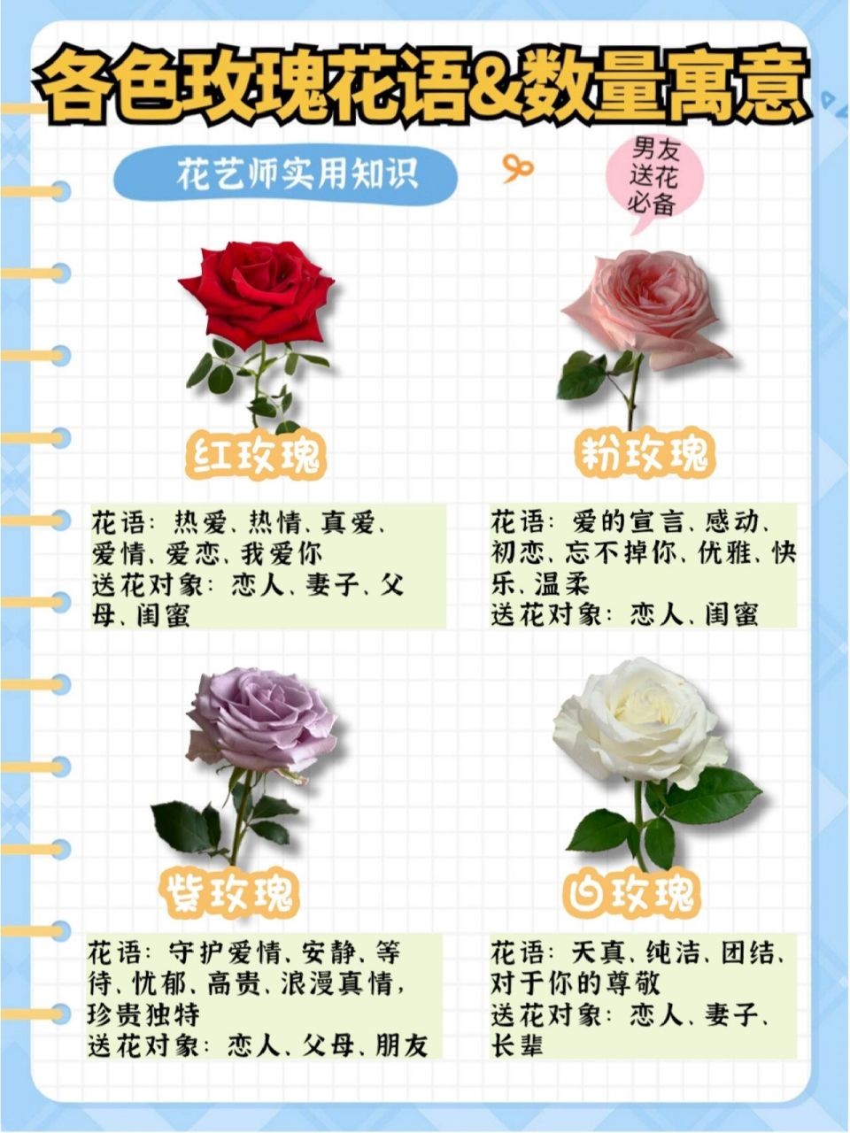 100种玫瑰花的名字图片