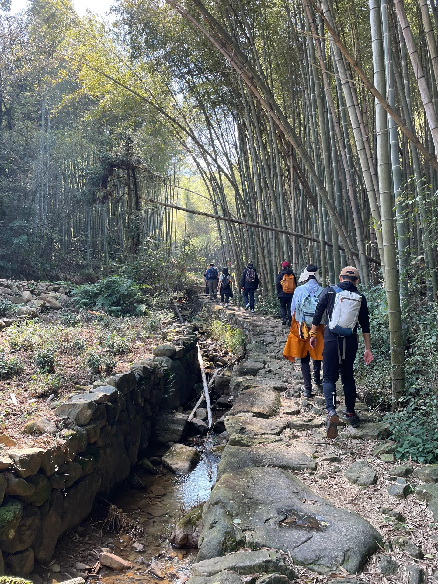 日铸岭古道图片