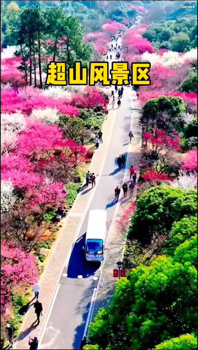 杭州超山风景区攻略图片