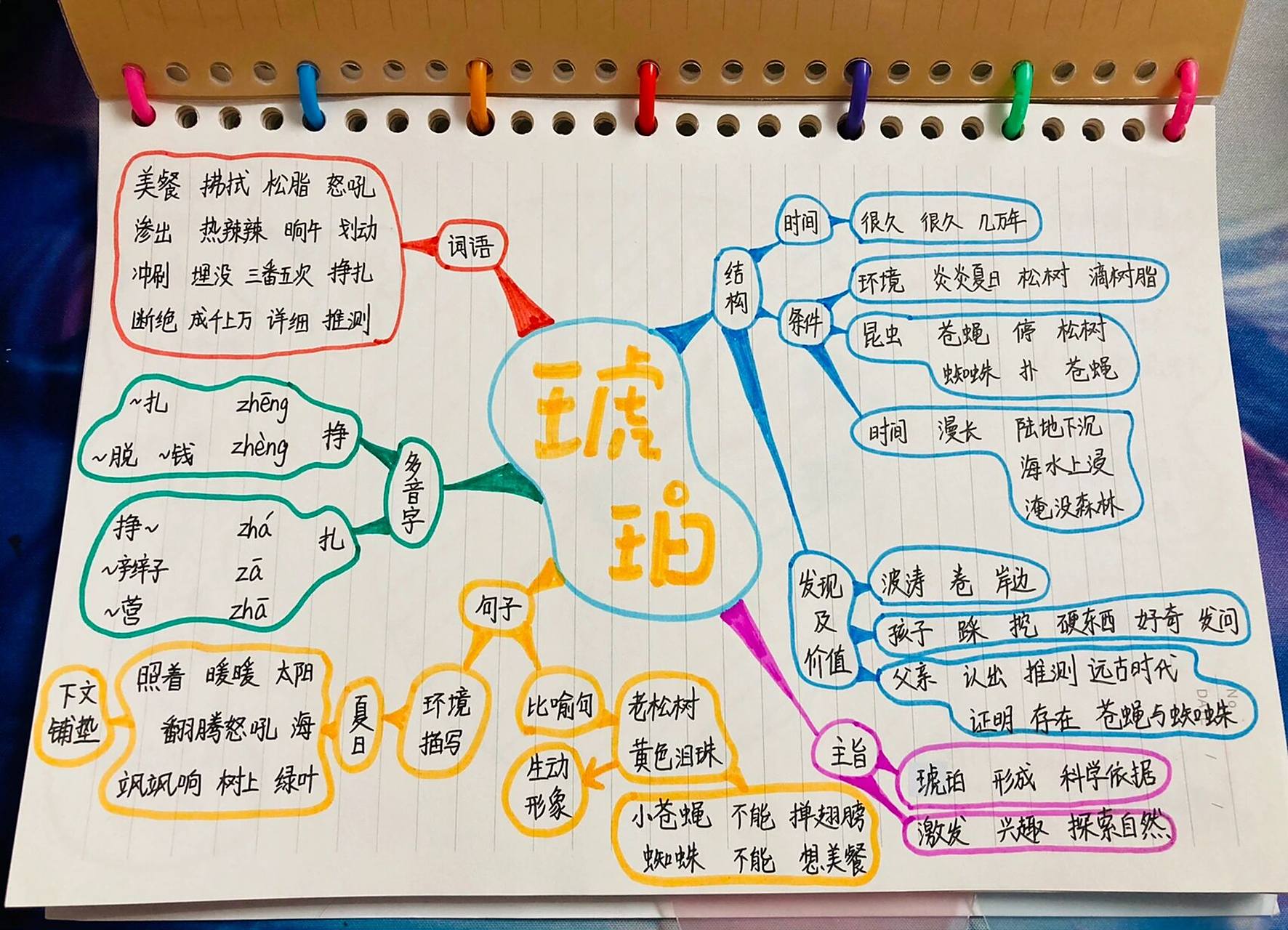 四下语文 第五课 琥珀 思维导图 人教版 四级语文(下册) 第五课 琥珀