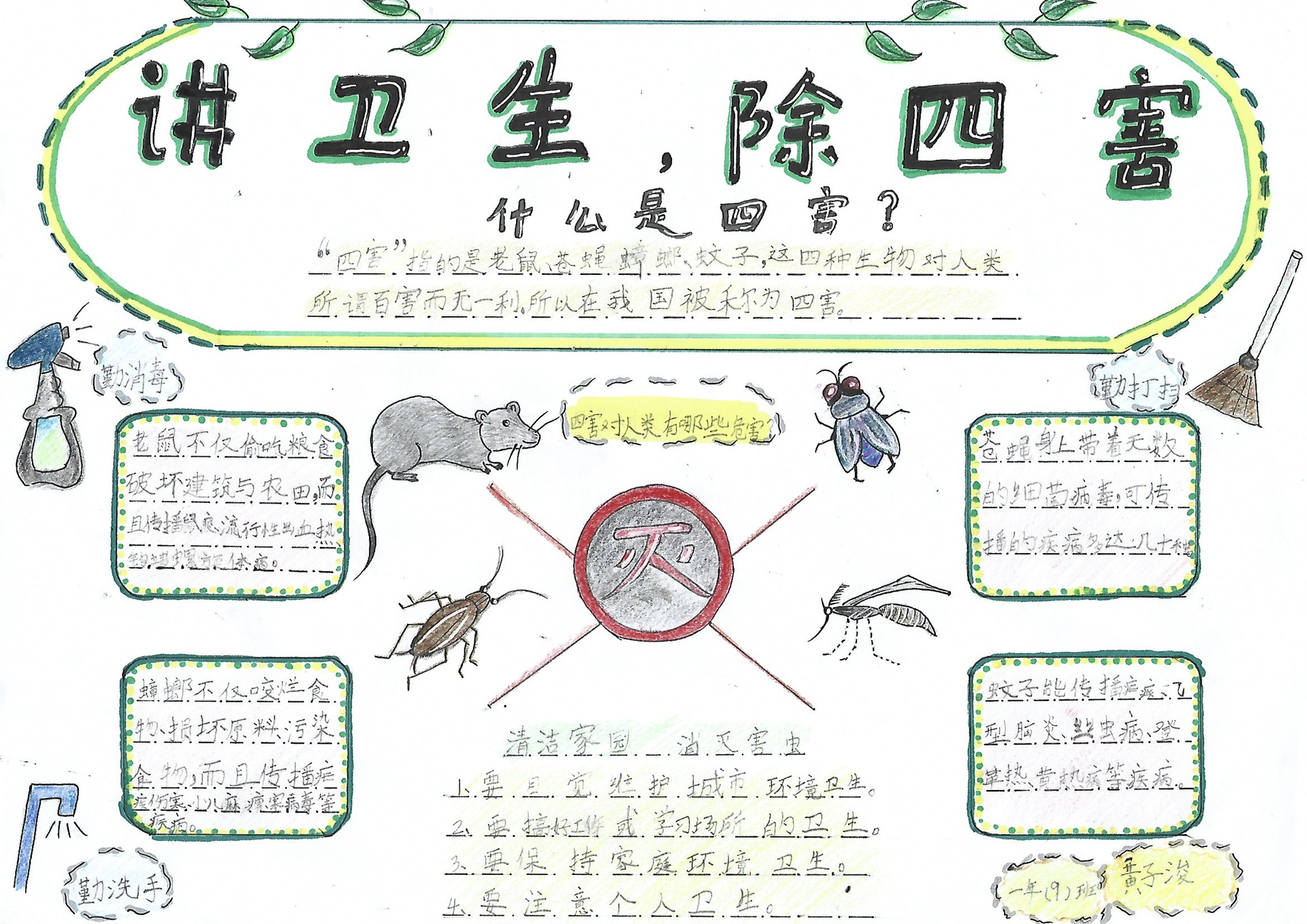 灭四害图片大全手抄报图片