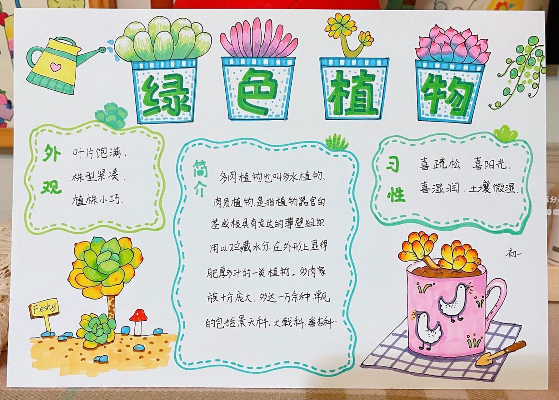 今日份手抄报分享 有关绿色植物的手抄报,分享给大家,记得点赞收藏哦