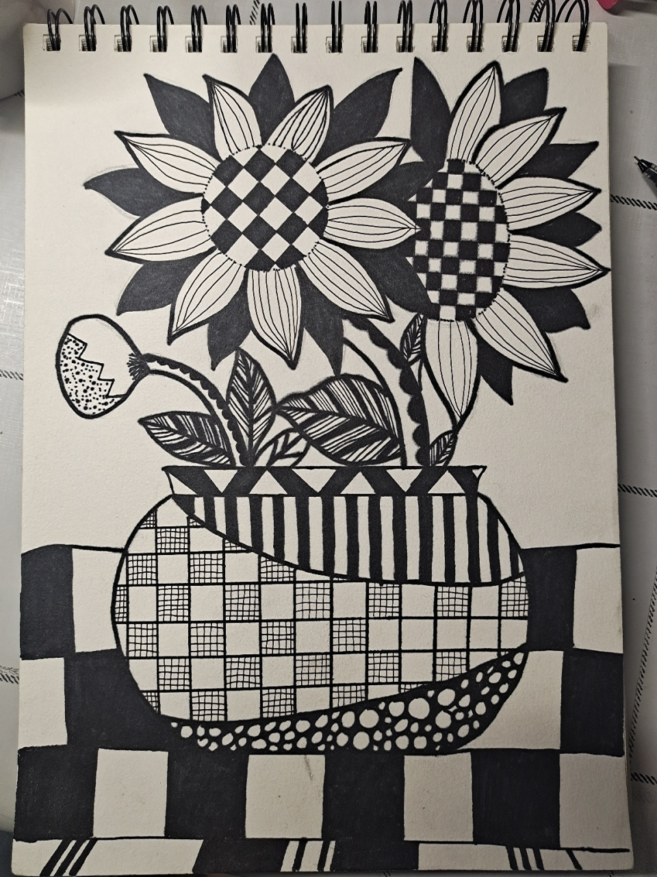 线描画 静物植物 完工