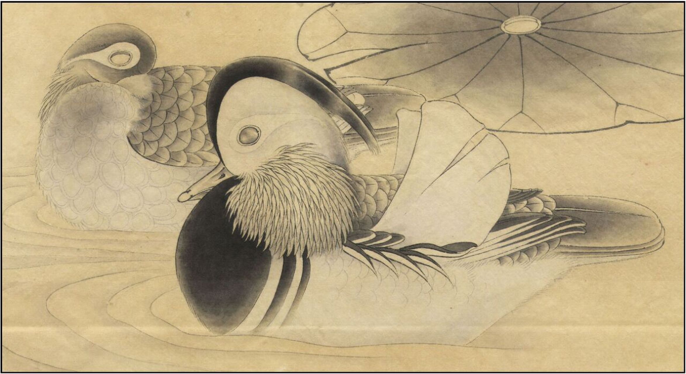 工笔画步骤分享(鸟类设色步骤——鸳鸯) 概述:鸳鸯是亚洲的一种亮斑冠