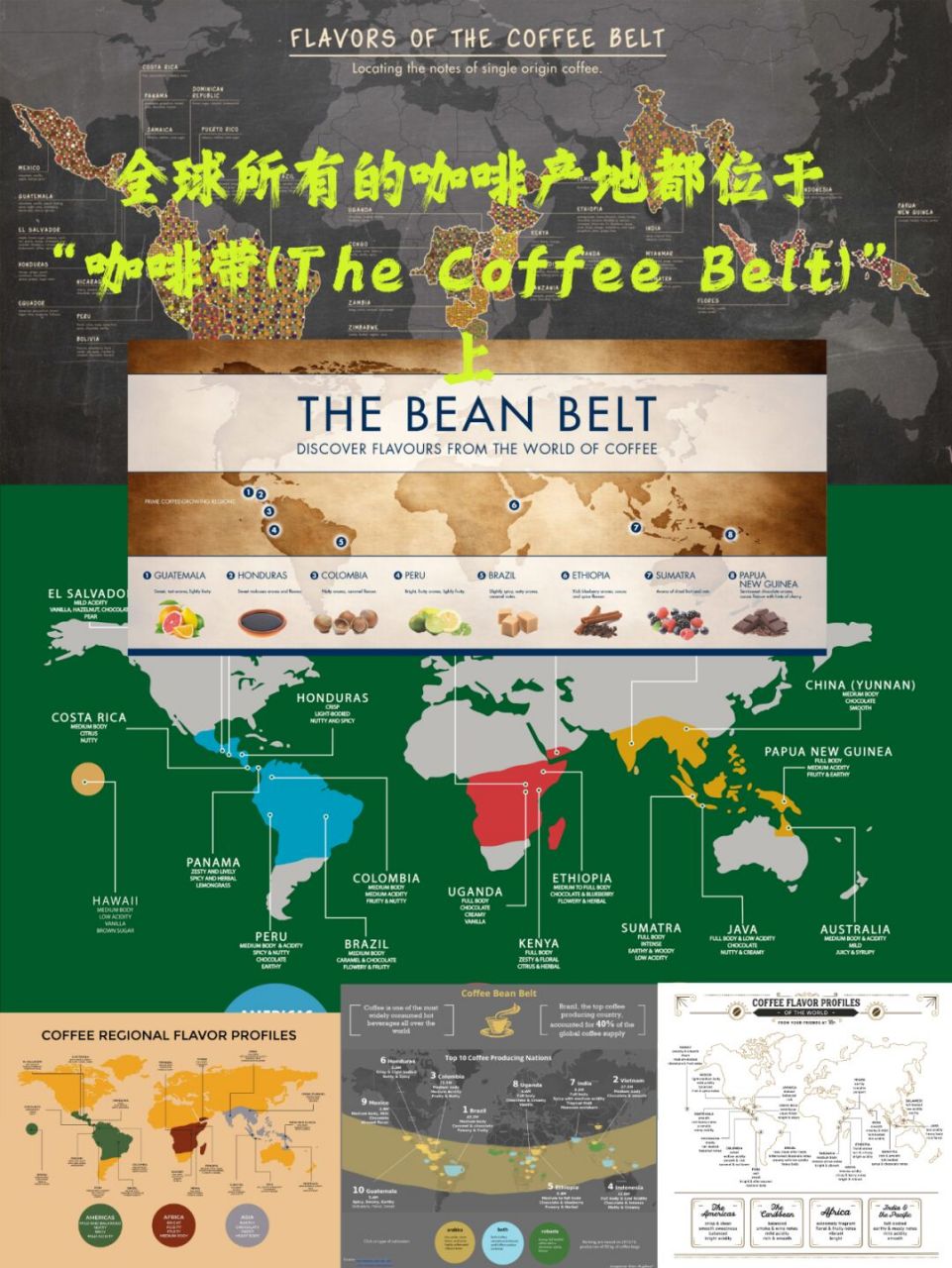 全球所有的咖啡产地都位于"咖啡带"上 "咖啡带"地处热带地区,南北回归