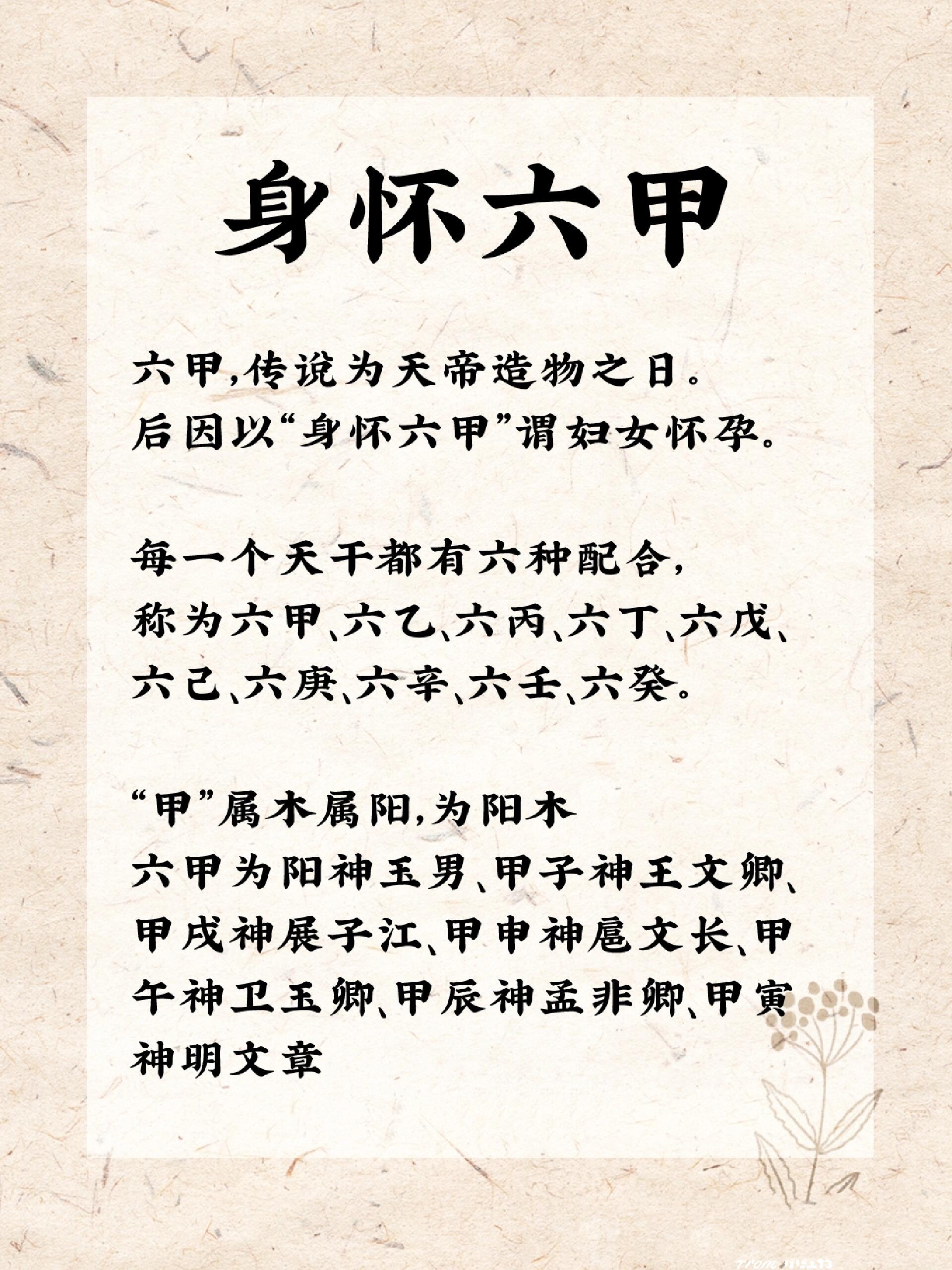 关于身怀六甲,六甲是什么意思