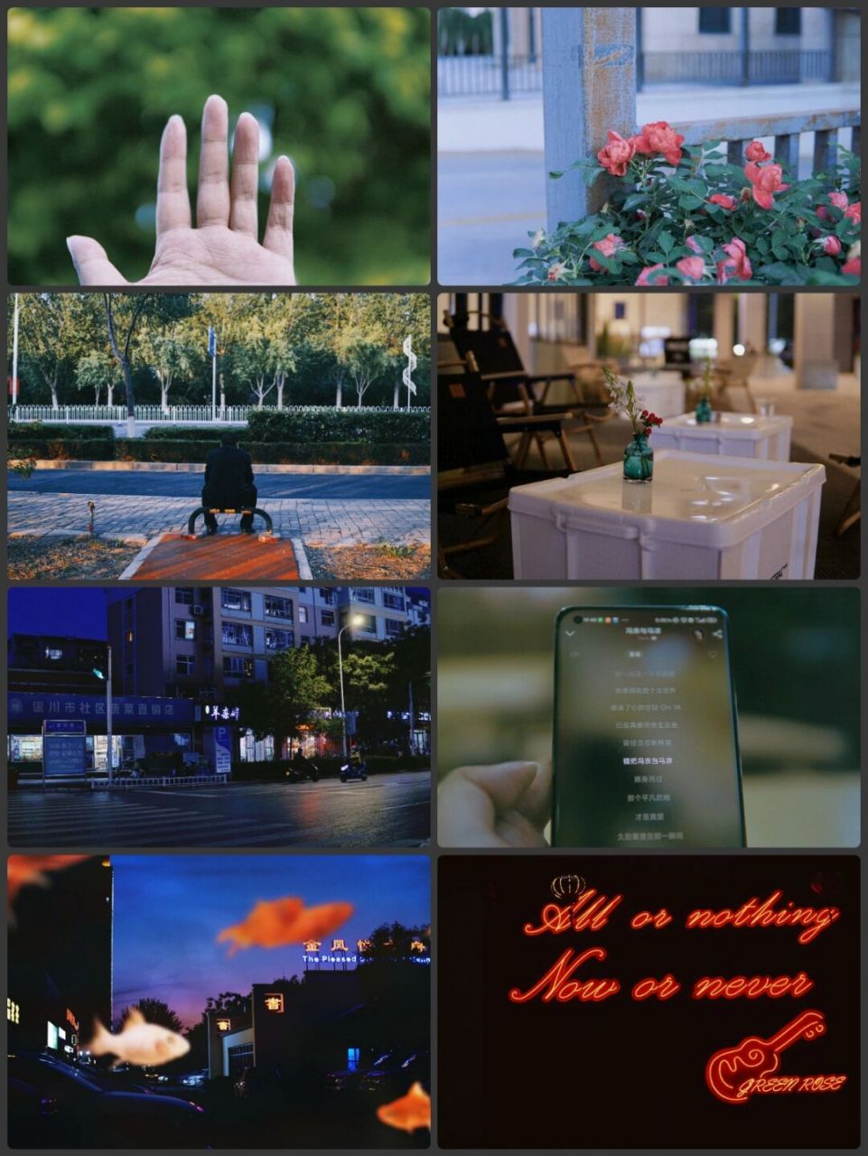 银川街拍|镜头下的小城静谧而美好 92 小城故事多,充满喜和乐 若是