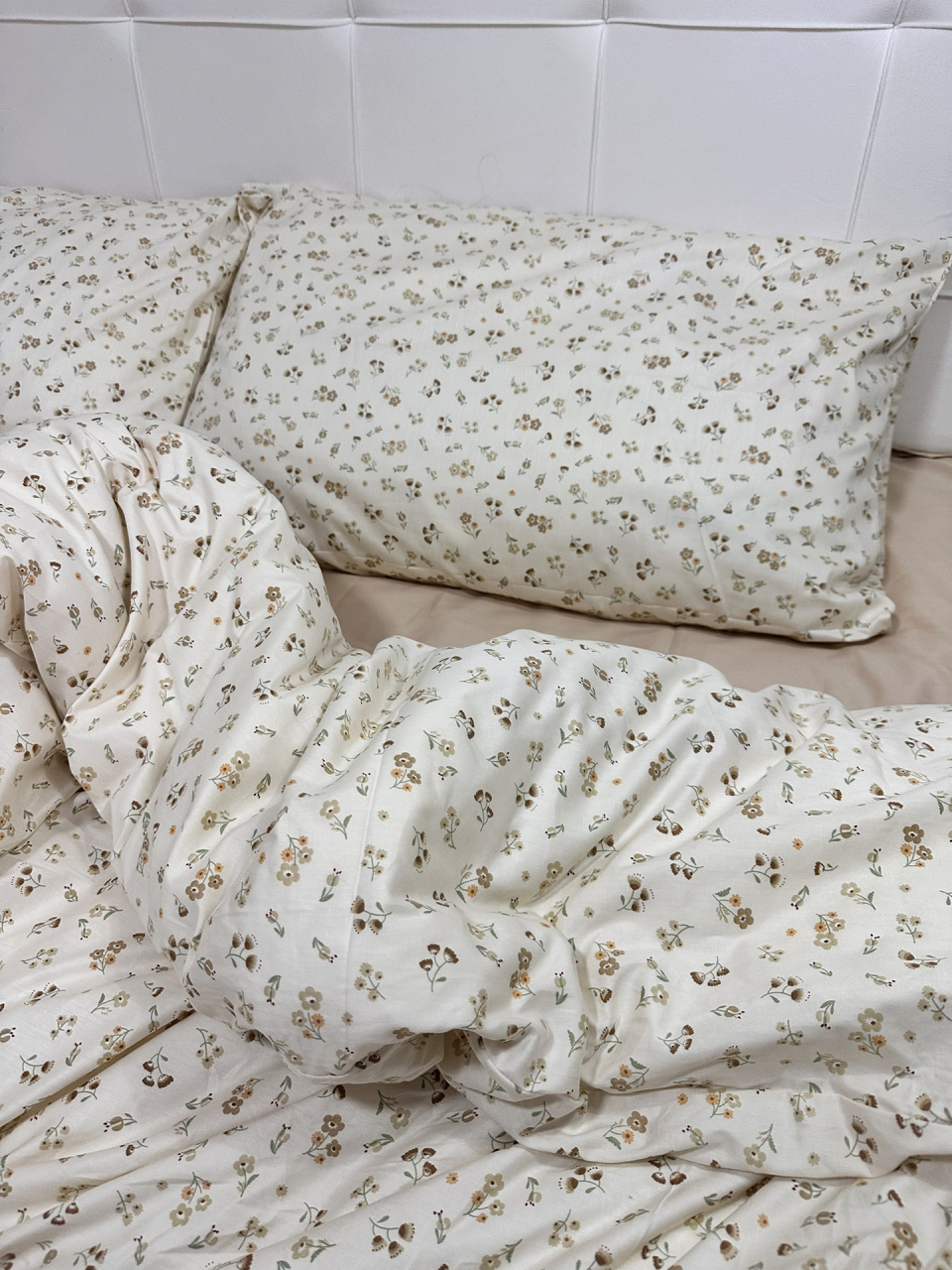 苹果live原图 颜色很漂亮 睡起好舒服98