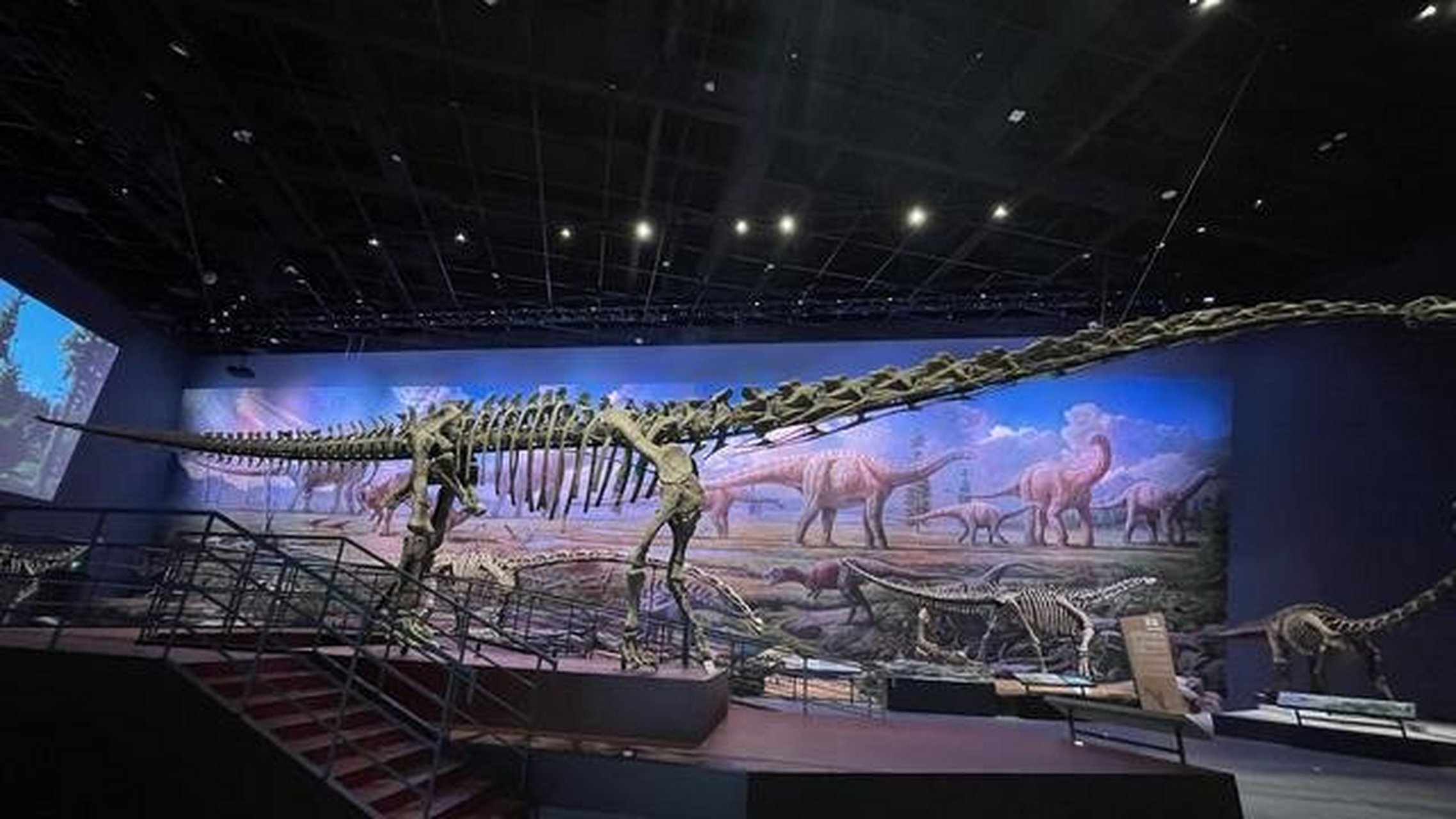 成都自然博物馆镇馆之宝——合川马门溪龙 恐龙可以说是成都自然博物