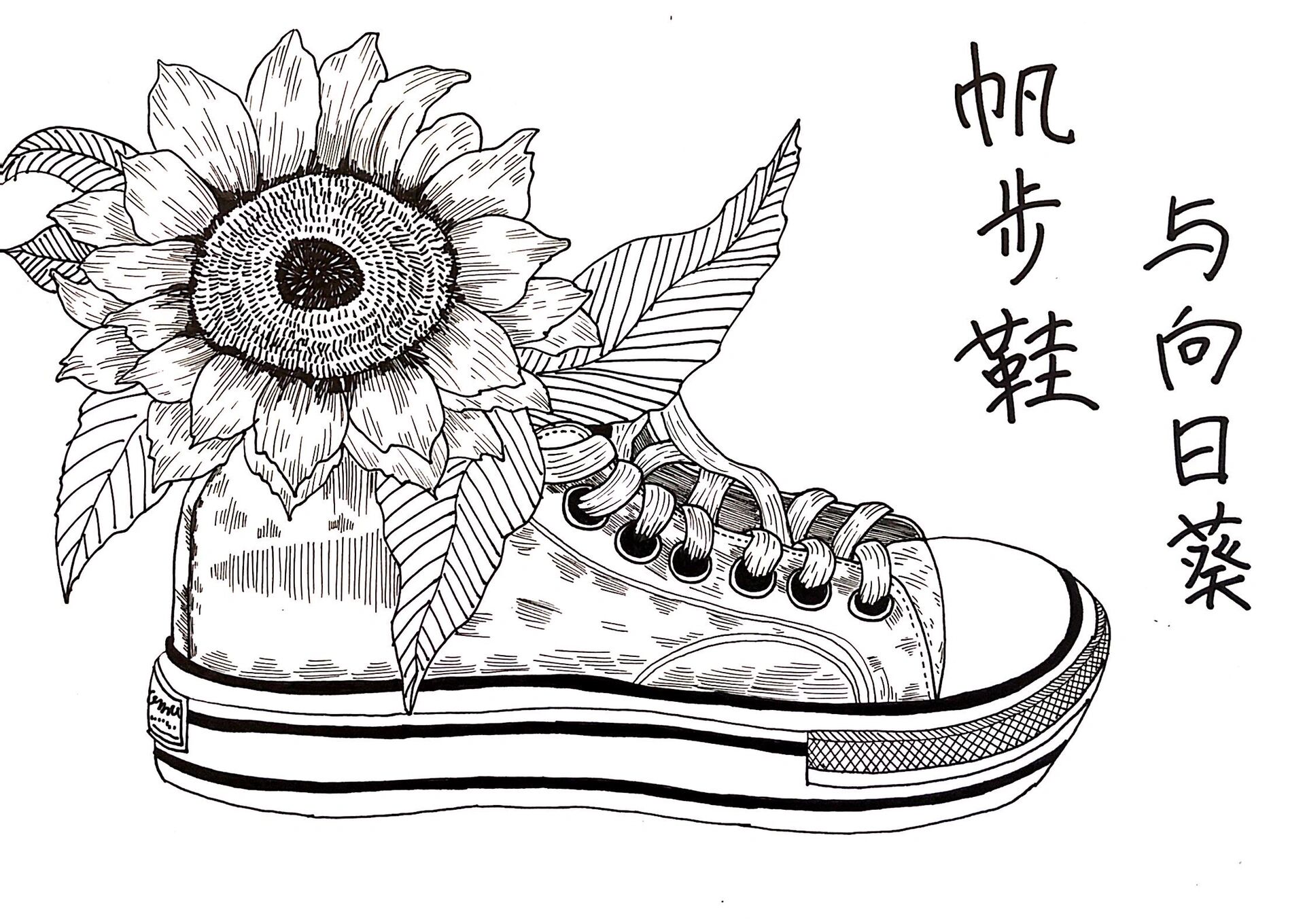 《帆布鞋与向日葵》线描画