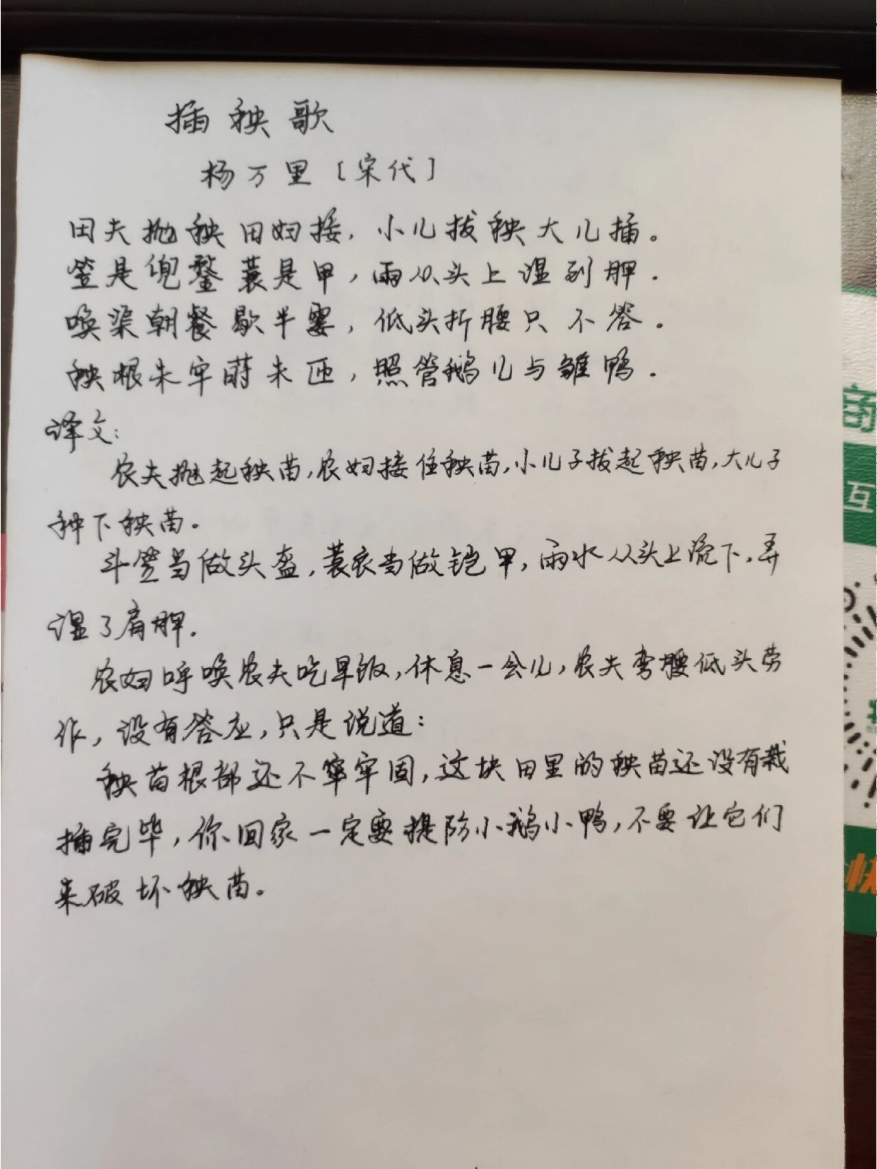 手写抄写《插秧歌@生活成长路的动态