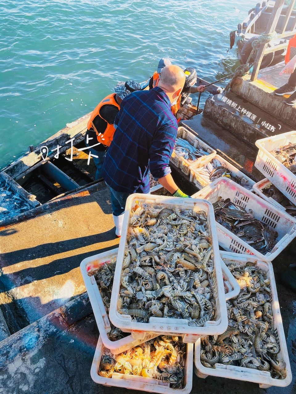 威海海鲜9315必去打卡的海鲜市场·合庆码头7715 威海人本地