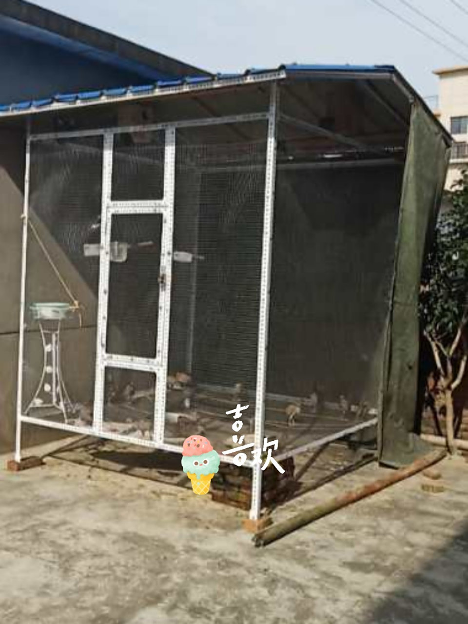 鸽子有窝了,自制鸽子笼! 一:材料三角铁,铁丝网,彩钢瓦组合!