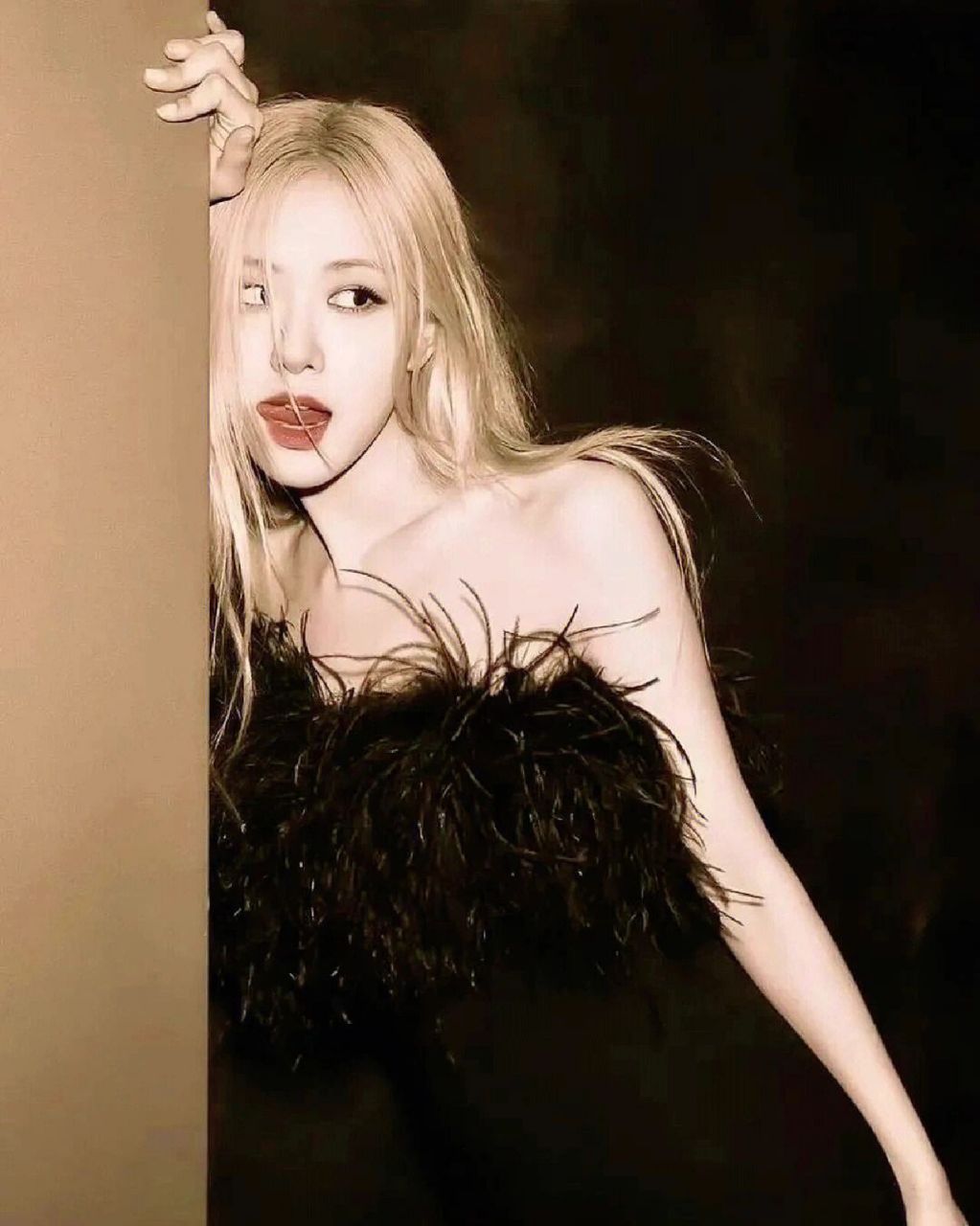 rose绝美壁纸97 请礼貌拿图哦9595