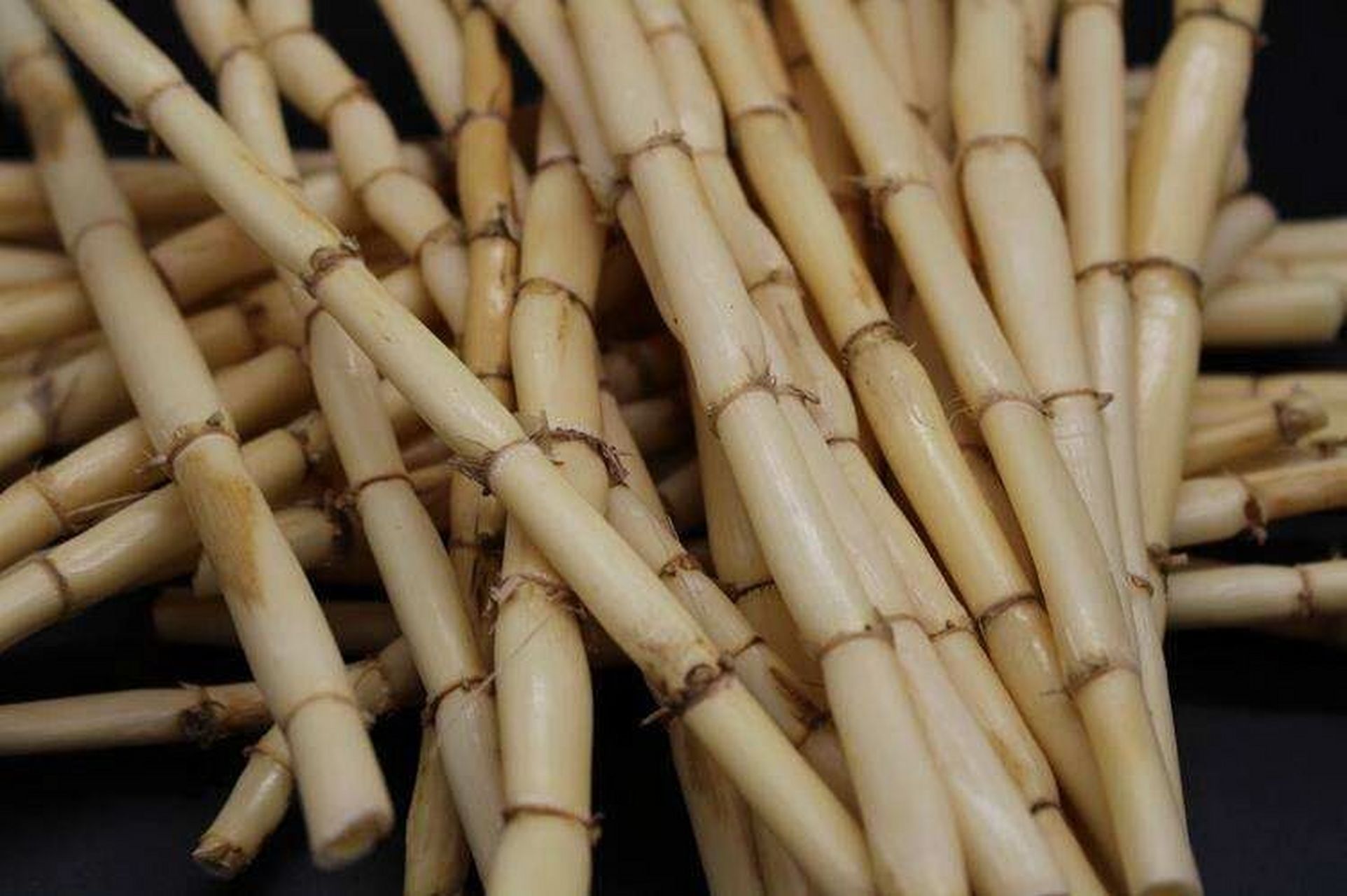 芦根的功效与作用 清热生津,除烦止呕,利尿 芦根为禾本科多年生草本