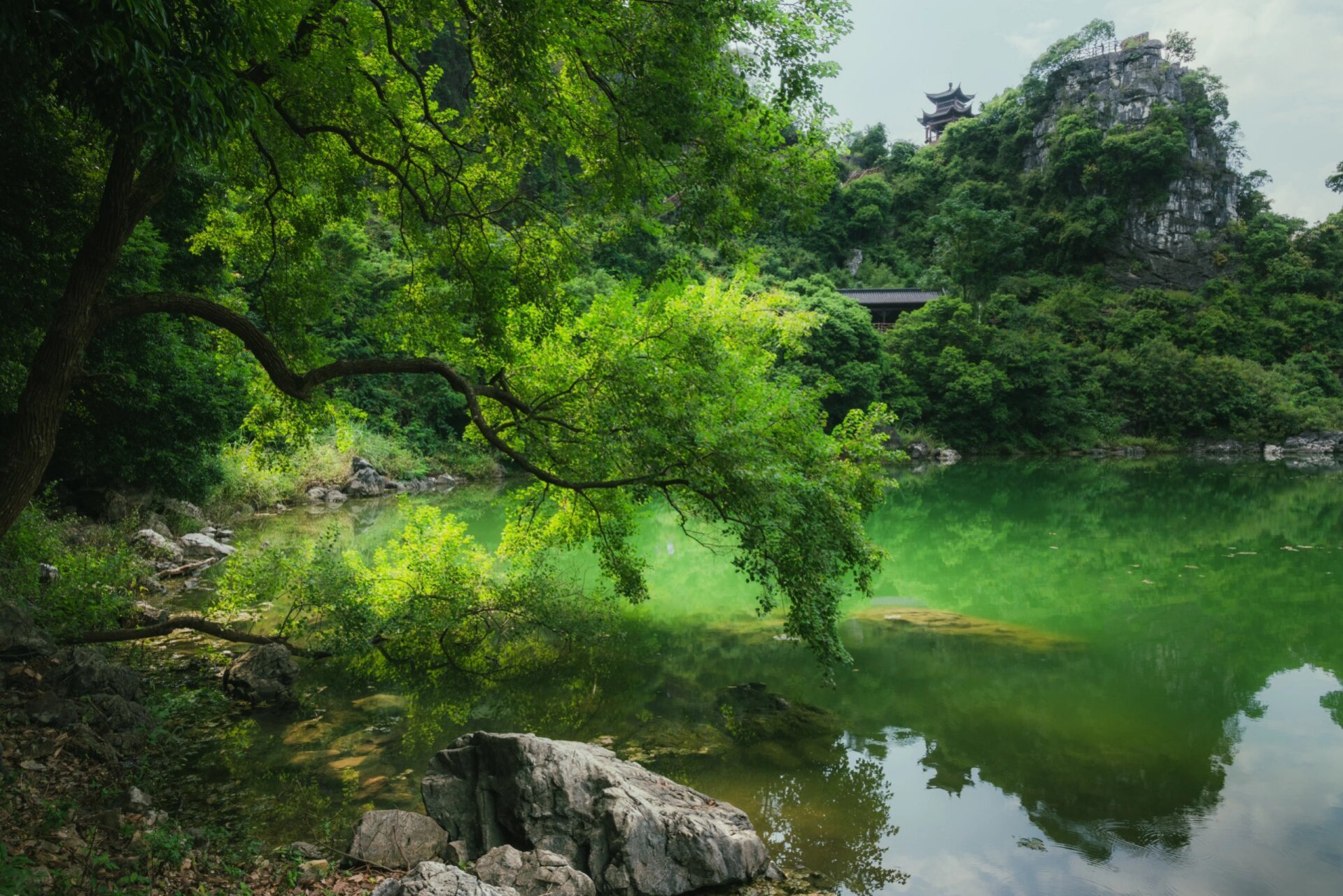 武宣县八仙天池图片