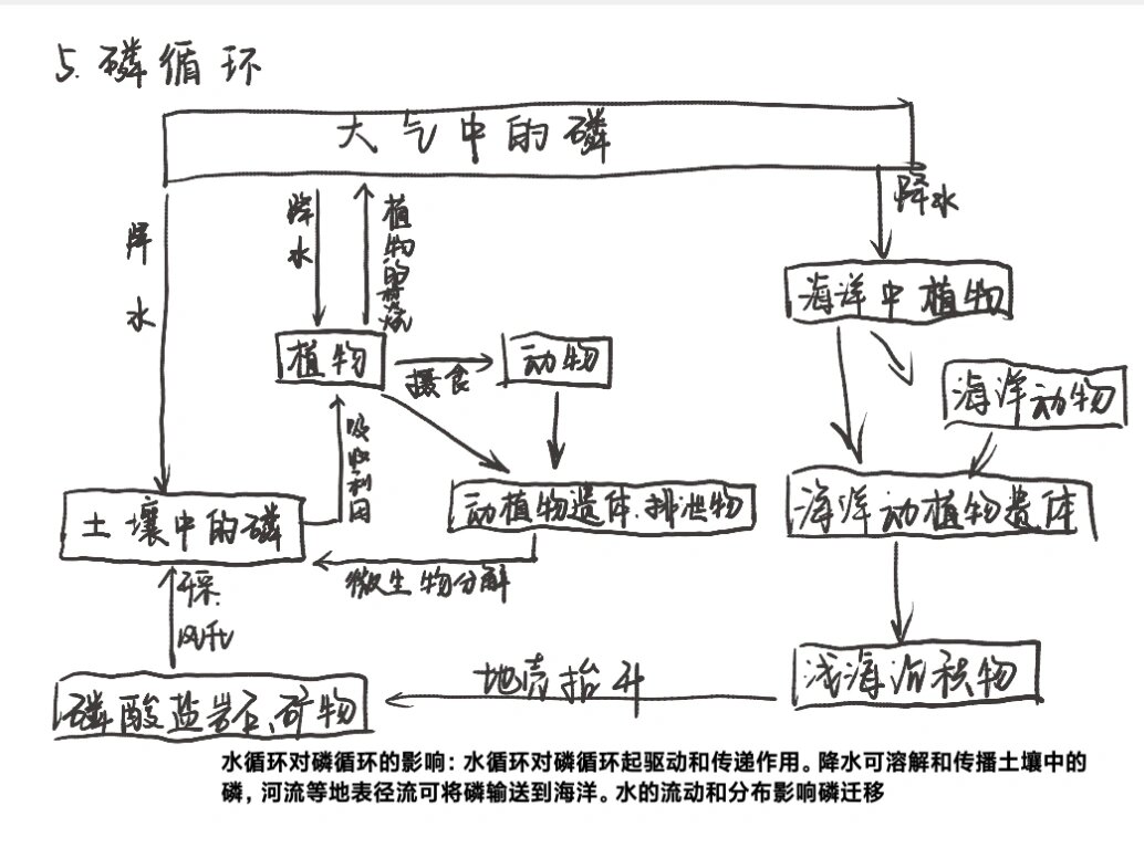 物质循环图图片