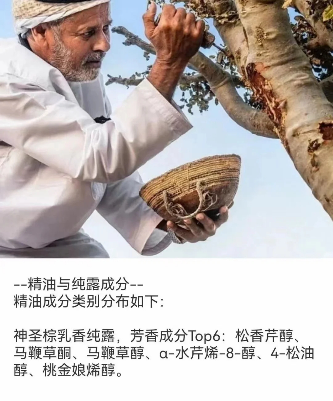 抗老女神挚爱～乳香纯露 抗老圣器 茴chun生肌是乳香的第一大功效