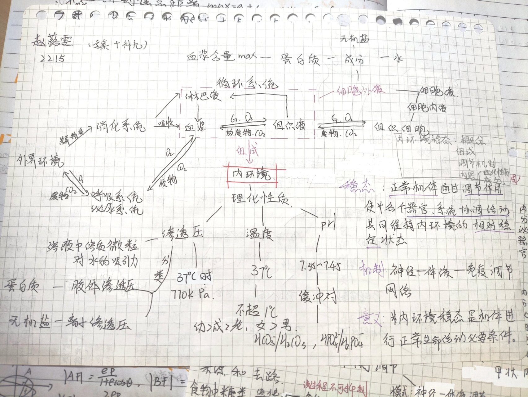 内环境思维导图图片