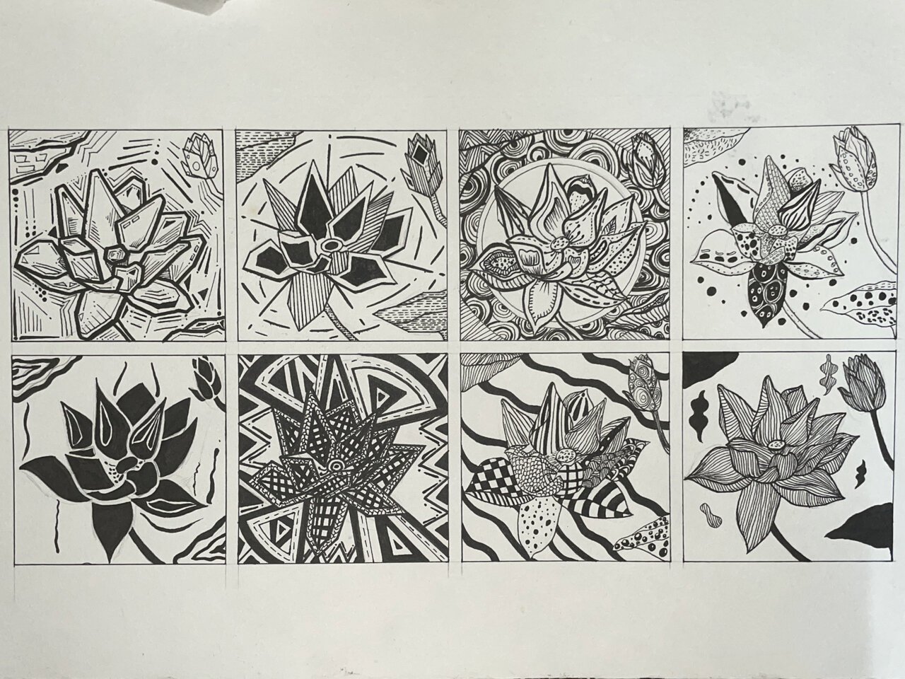 花卉变形设计 图案设计第一节课作业 花卉变形