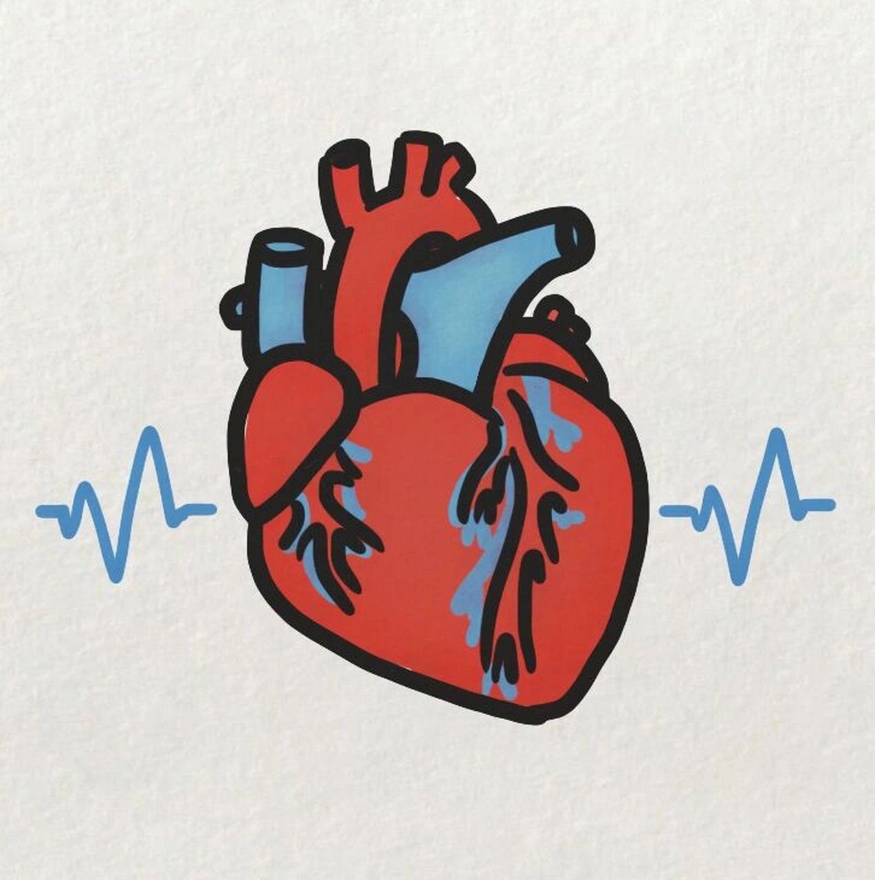 心脏轮廓简笔画图片