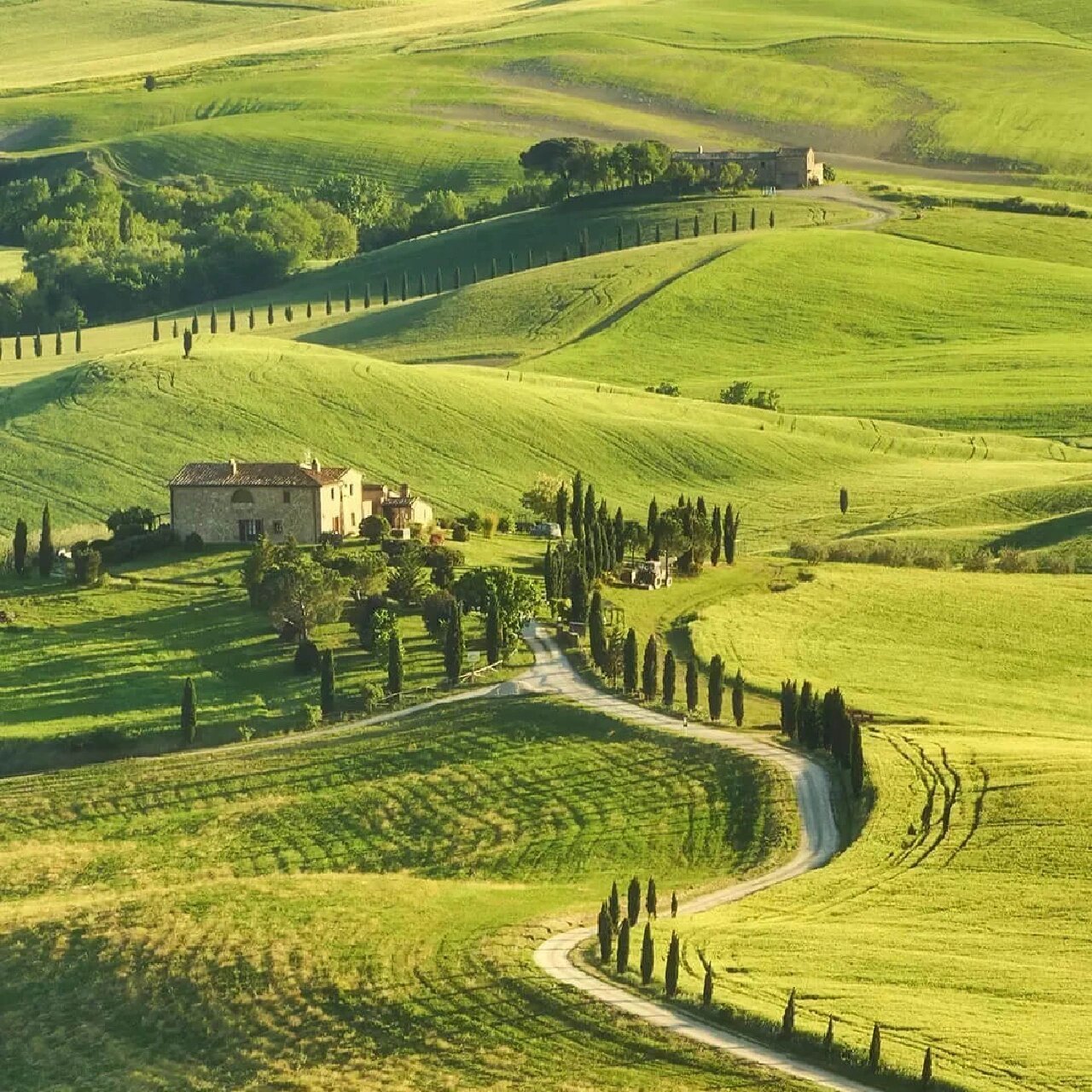 身边的小草原 #看看你现在的微信头像
