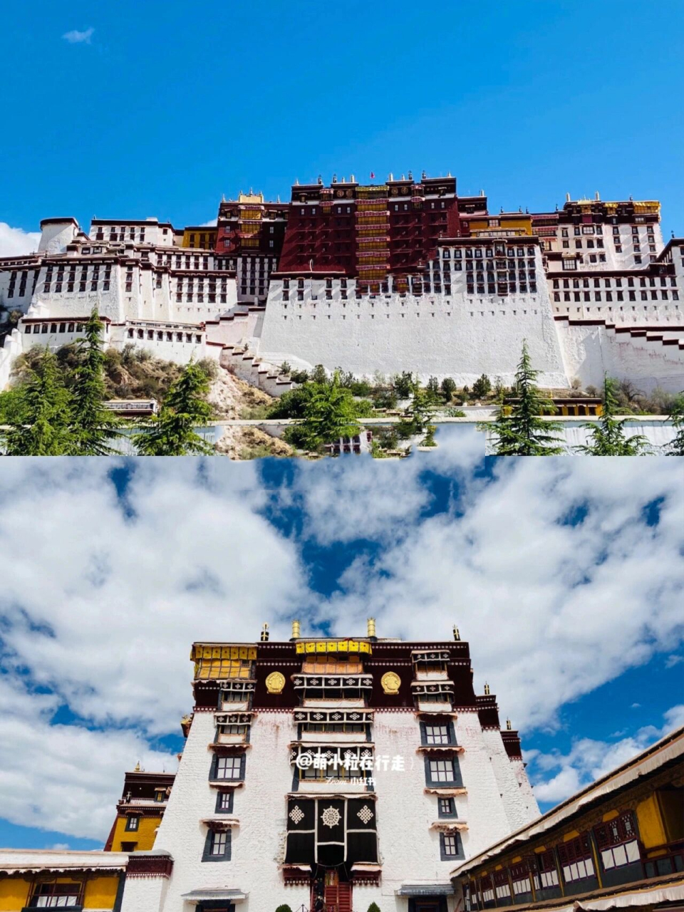 西藏vlog3|登顶布达拉宫| 尼泊尔餐厅94 78#萌小粒在行走# vlog