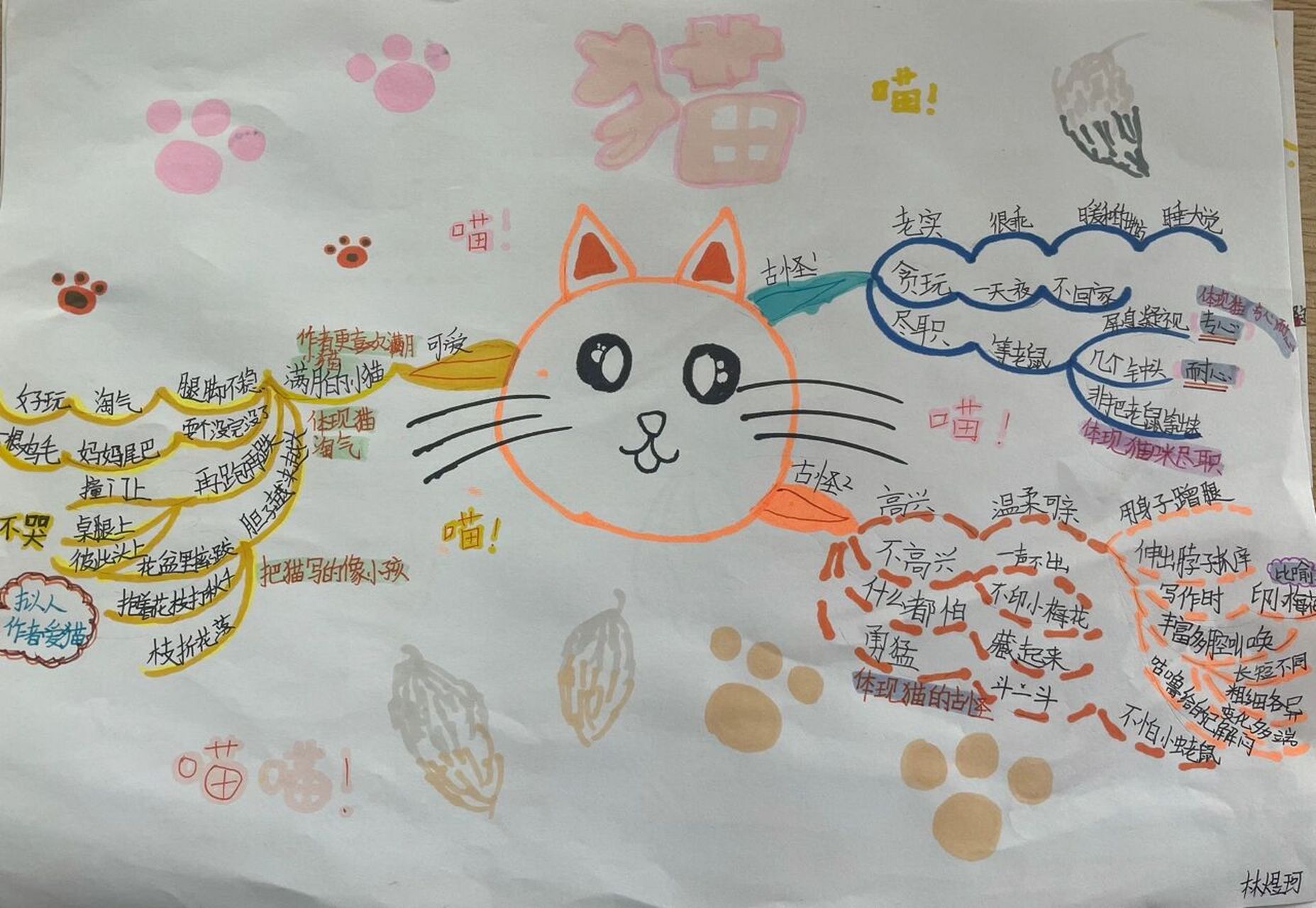 四年级下册老舍的《猫》思维导图来袭～喜欢吗