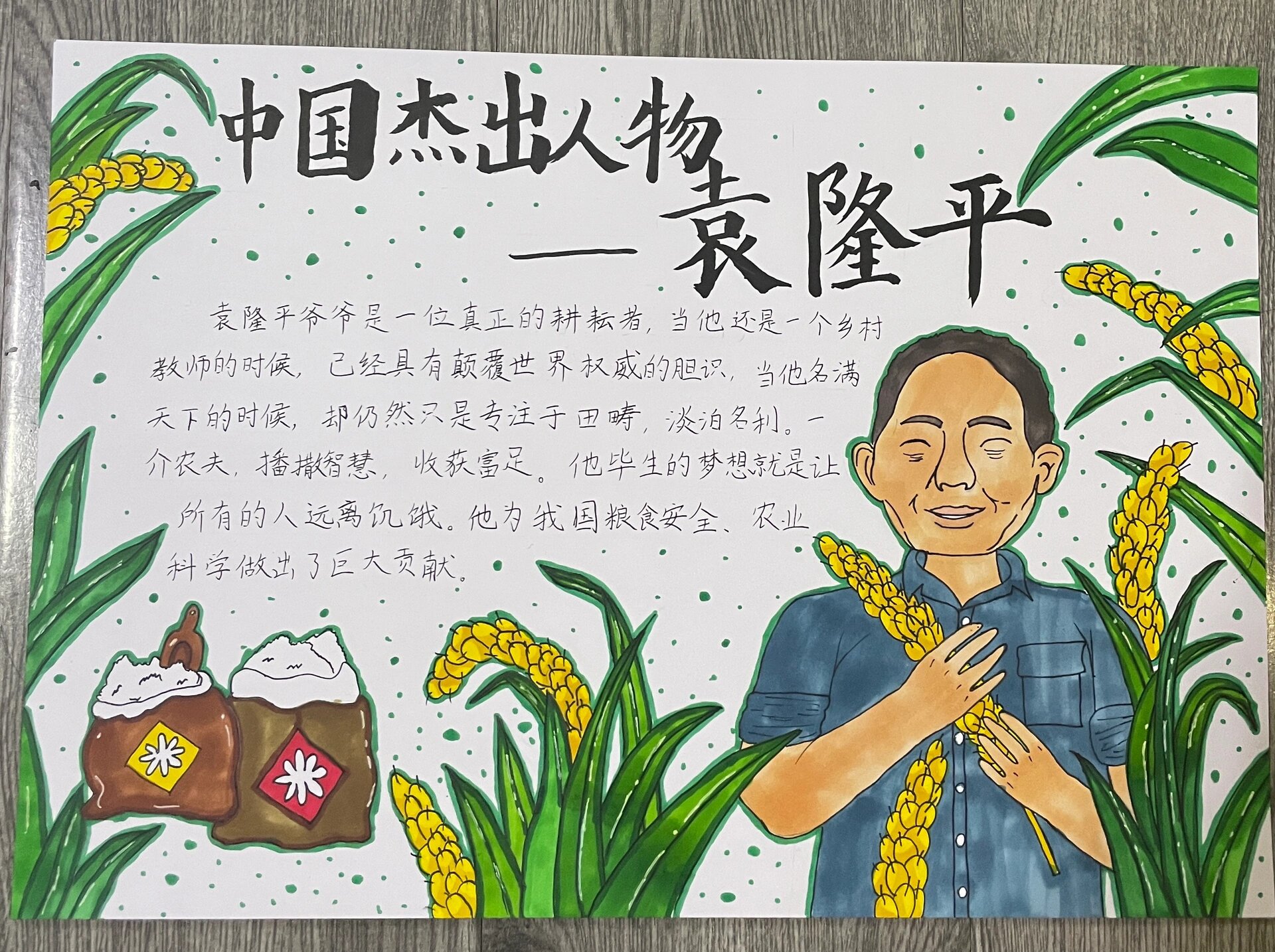 中国杰出人物袁隆平爷爷手抄报