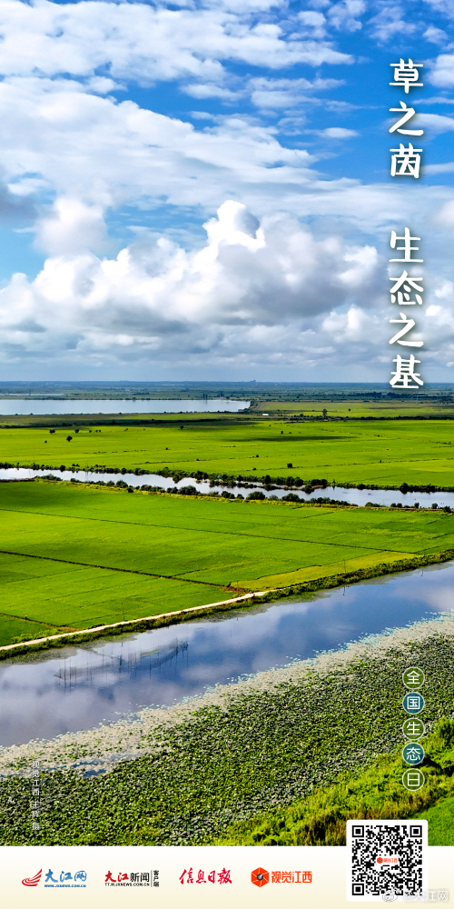 江西生态 与民生 农业转型相关图片3