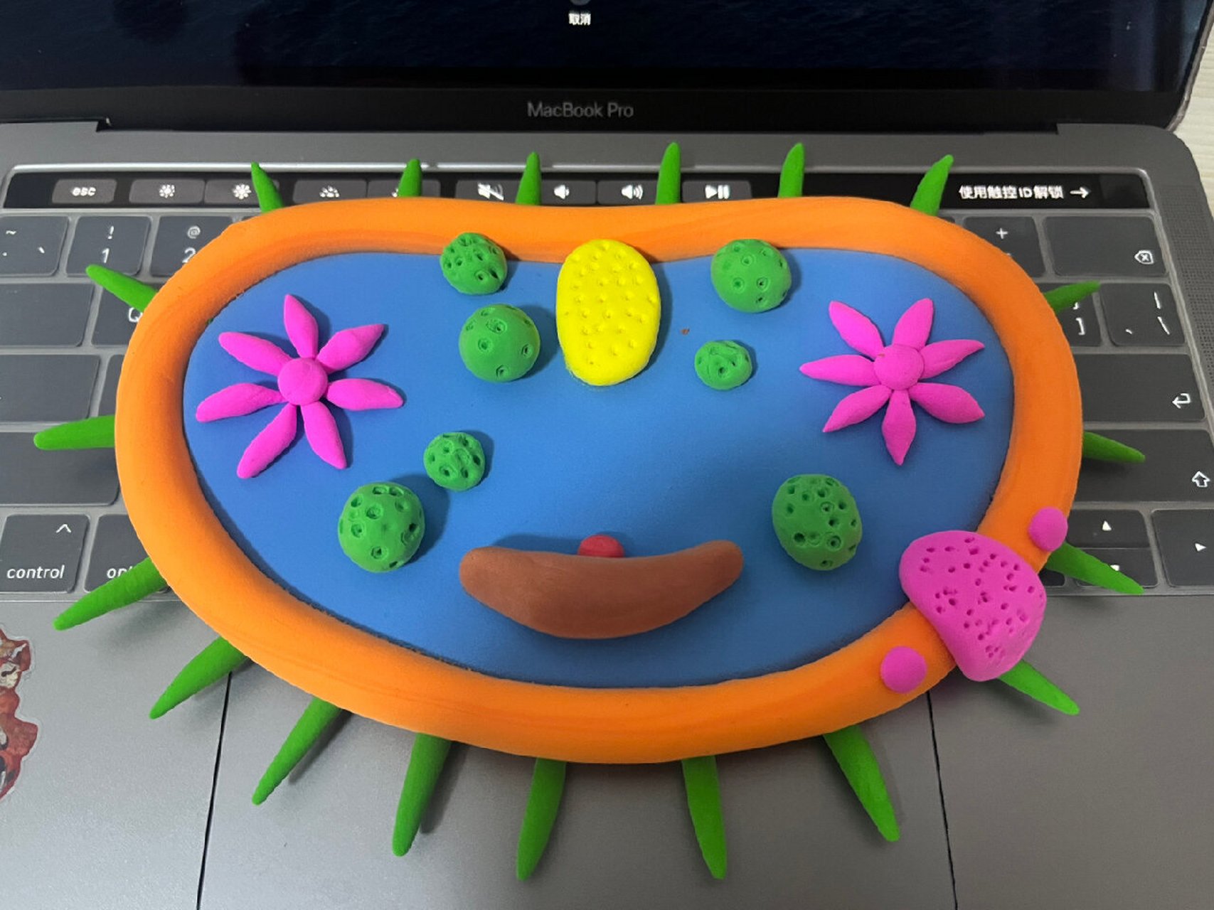 草履虫模型成品来了 哪个颜色更好看呢 新年第一个 生物模型a材料包也