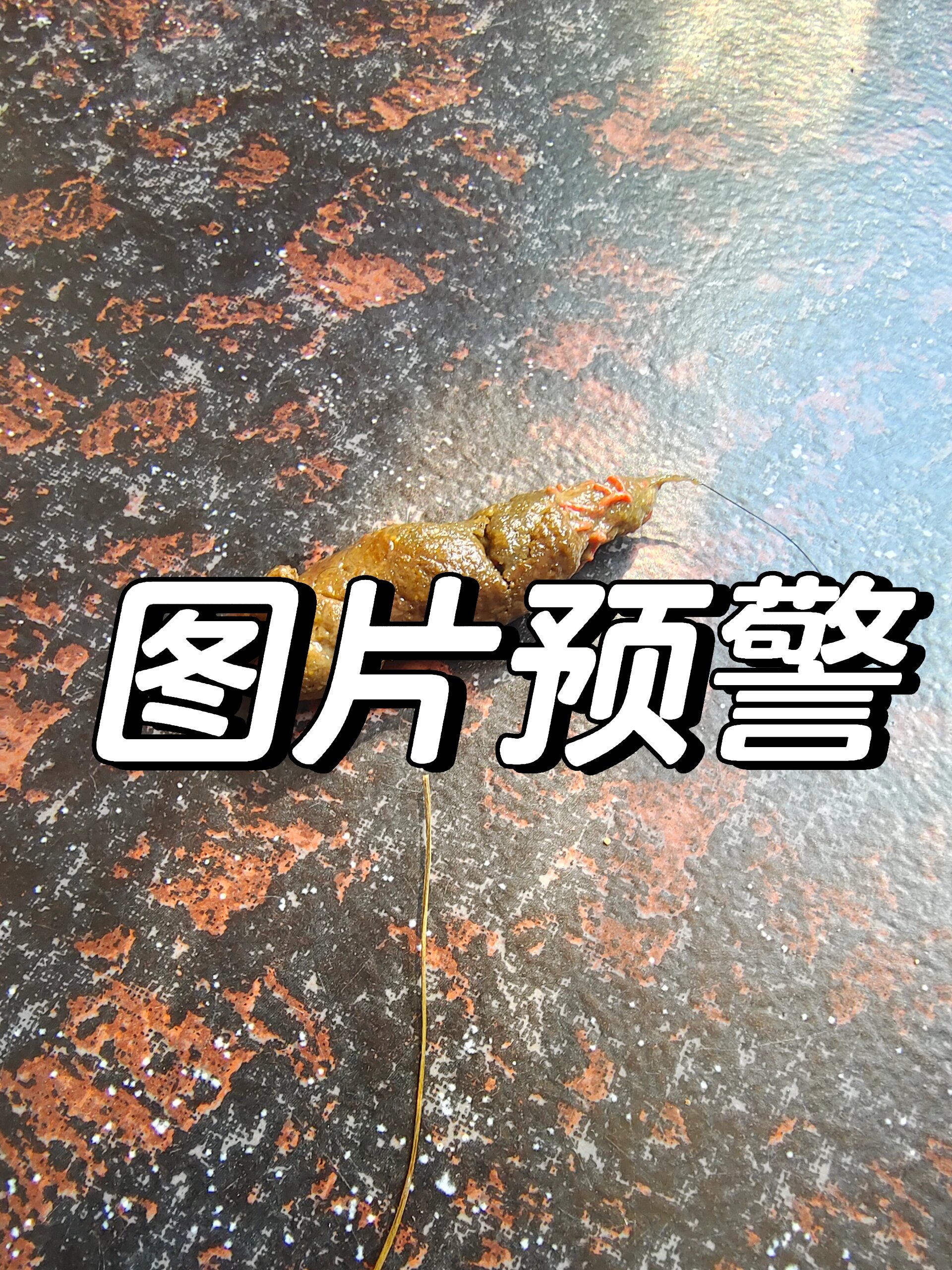 幼犬拉虫?红色条状物是什么虫?