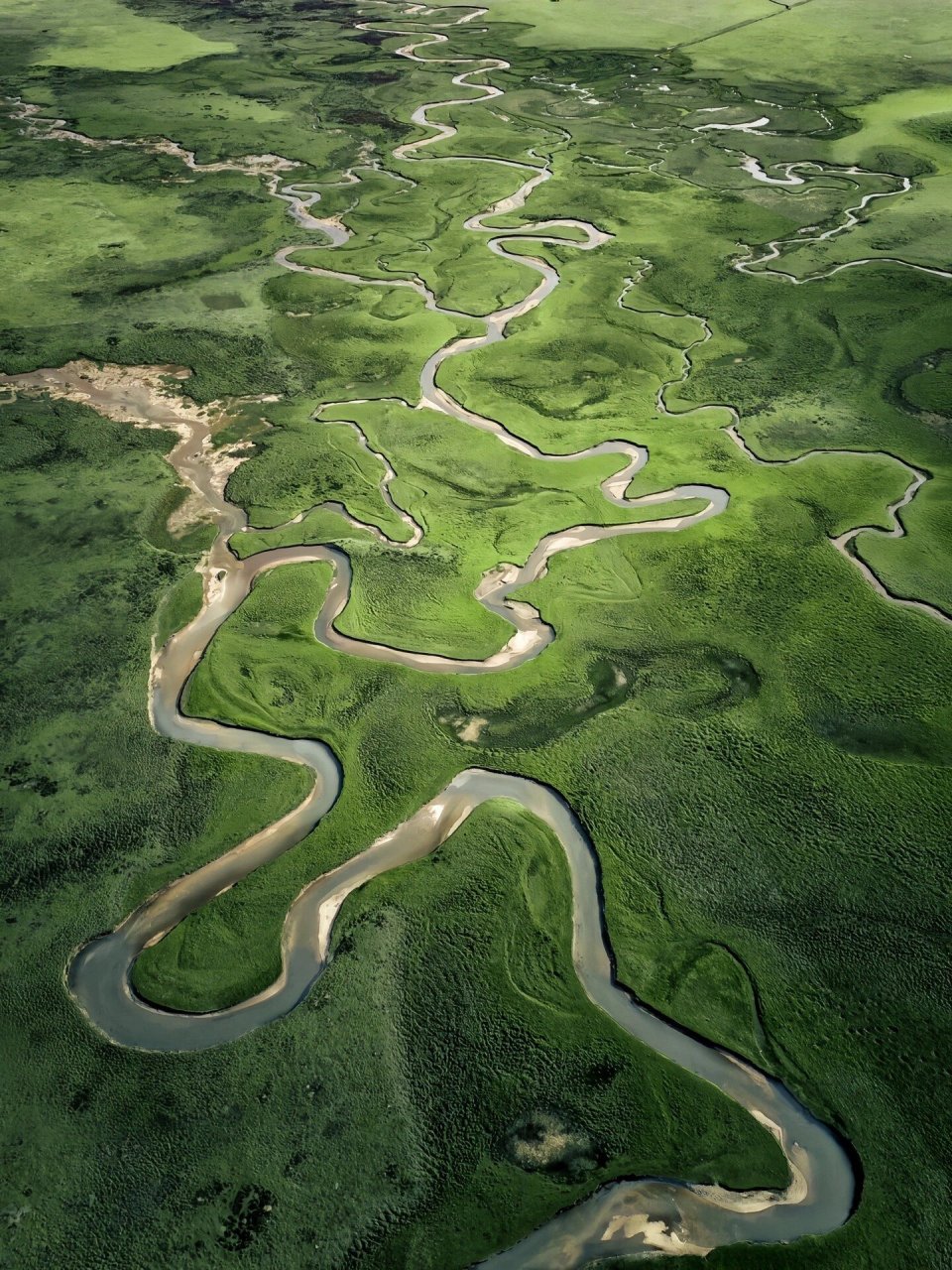 甘南郭莽湿地位于碌曲县,海泼 3562米,是黄河上游最大的支流——洮河