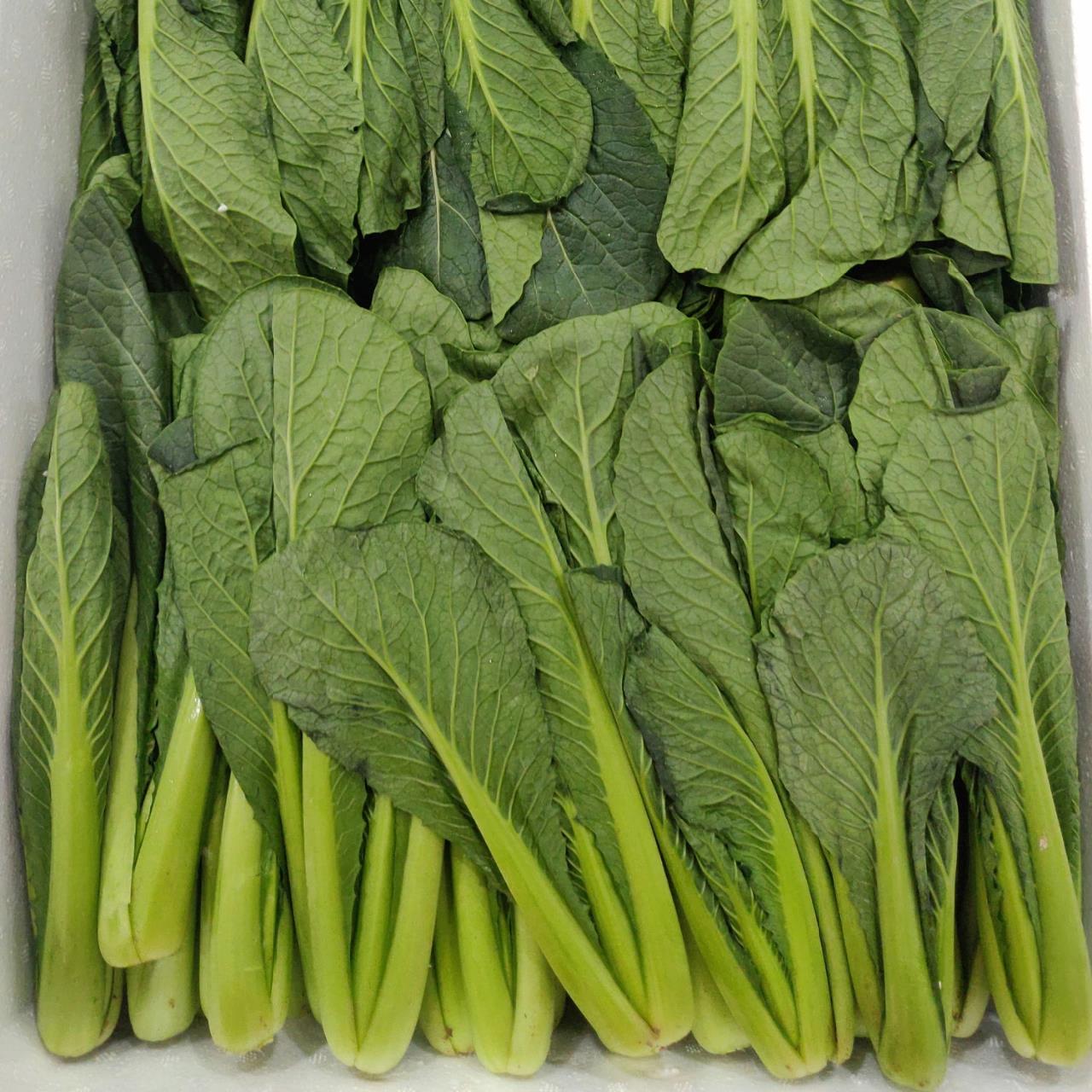 非常好吃的一种青菜,在上海超市叫"绿萝椿",但是网购平台搜索不到,仅