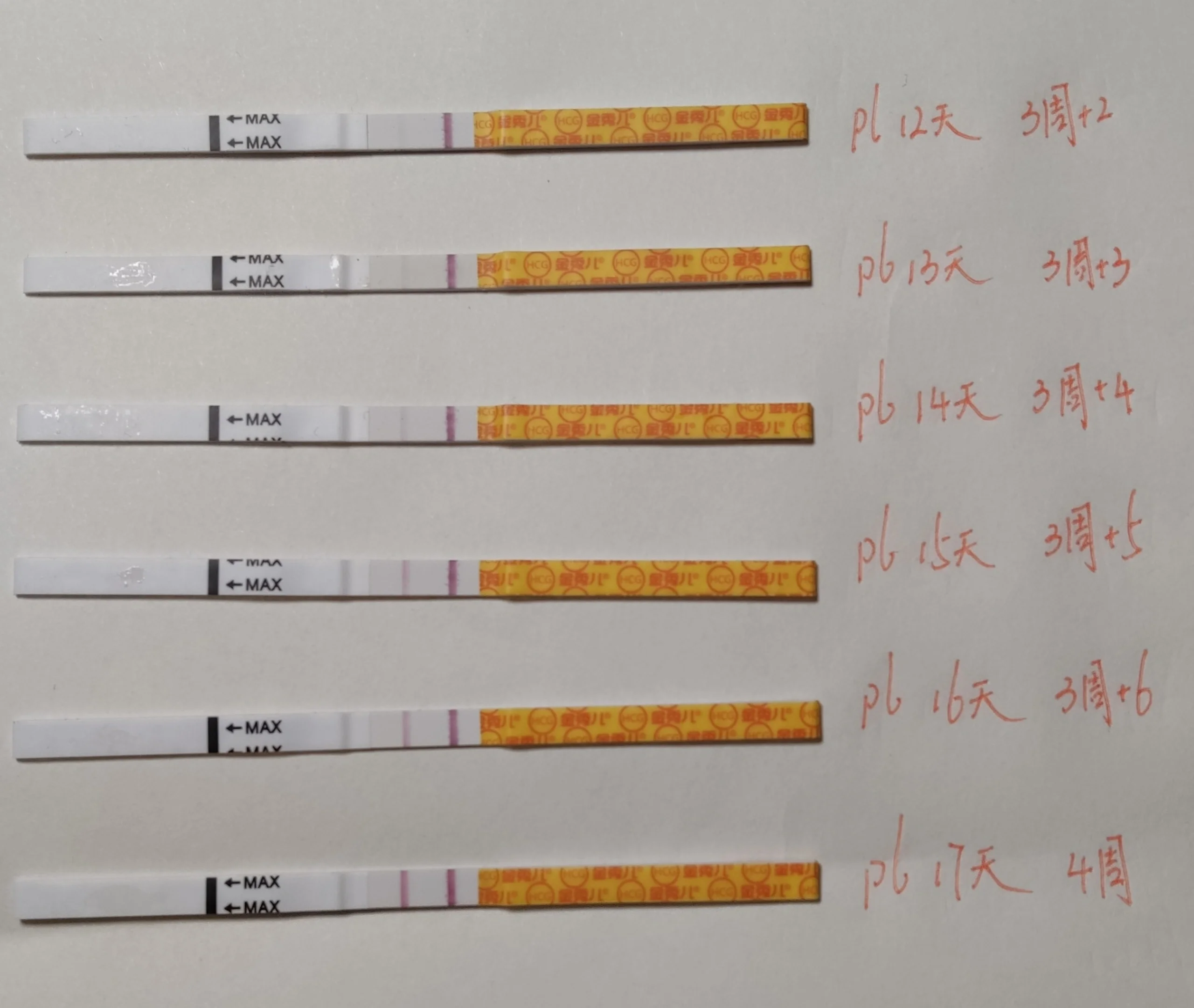 排卵9天后开始测各种hcg试纸 末次10.12,排卵日10.25.