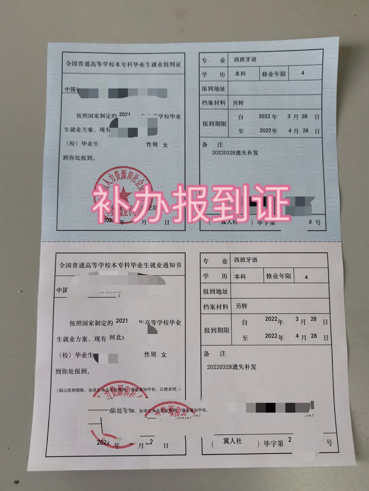 报到证丢失,如何补办?