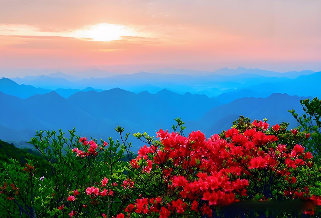 绿树成荫遮炎日,你对下联红花映水映晴空 下联"红花映水映晴空"与上联