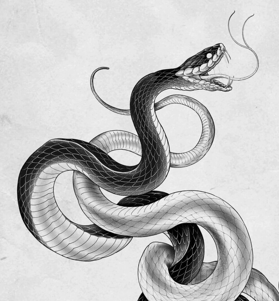 蛇纹纹身手稿 狼与蛇纹身图案/满背手背脚背纹身/胸口狼头大臂小臂