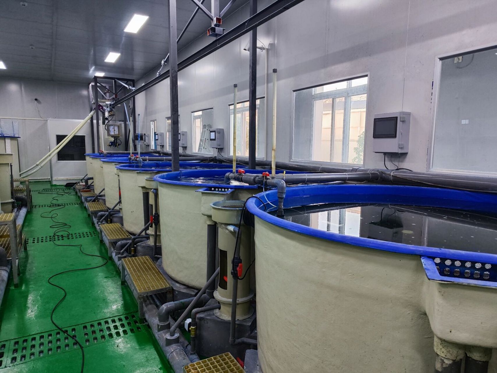 在探索现代化高科技养鱼的路上,图可证明我在好好生活##我的日常