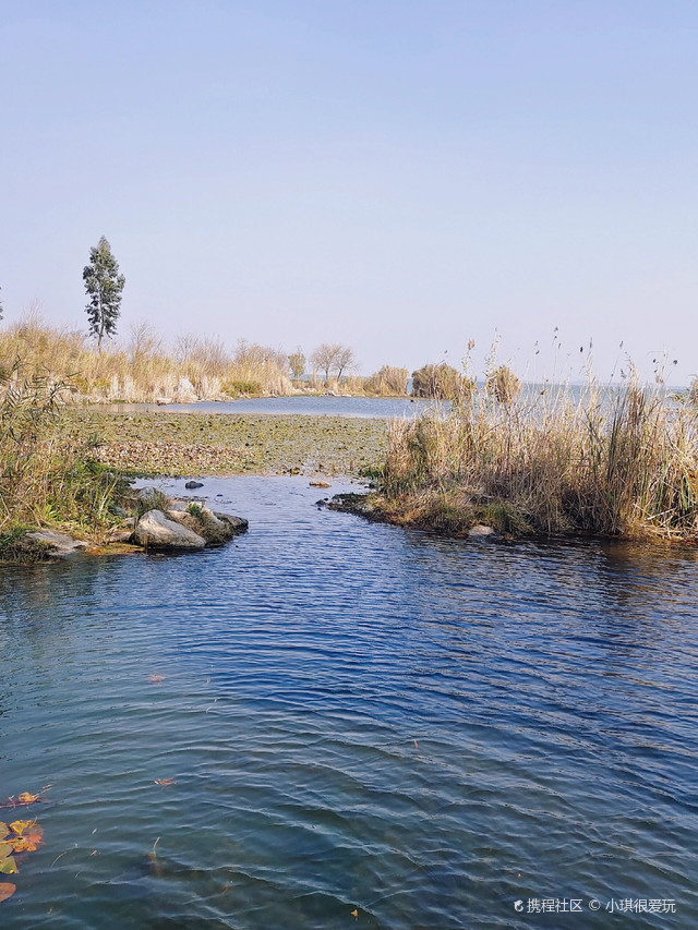 如暖阳般迷人,似秋色般深邃,去东大河湿地公园的午后_晋宁县东大河