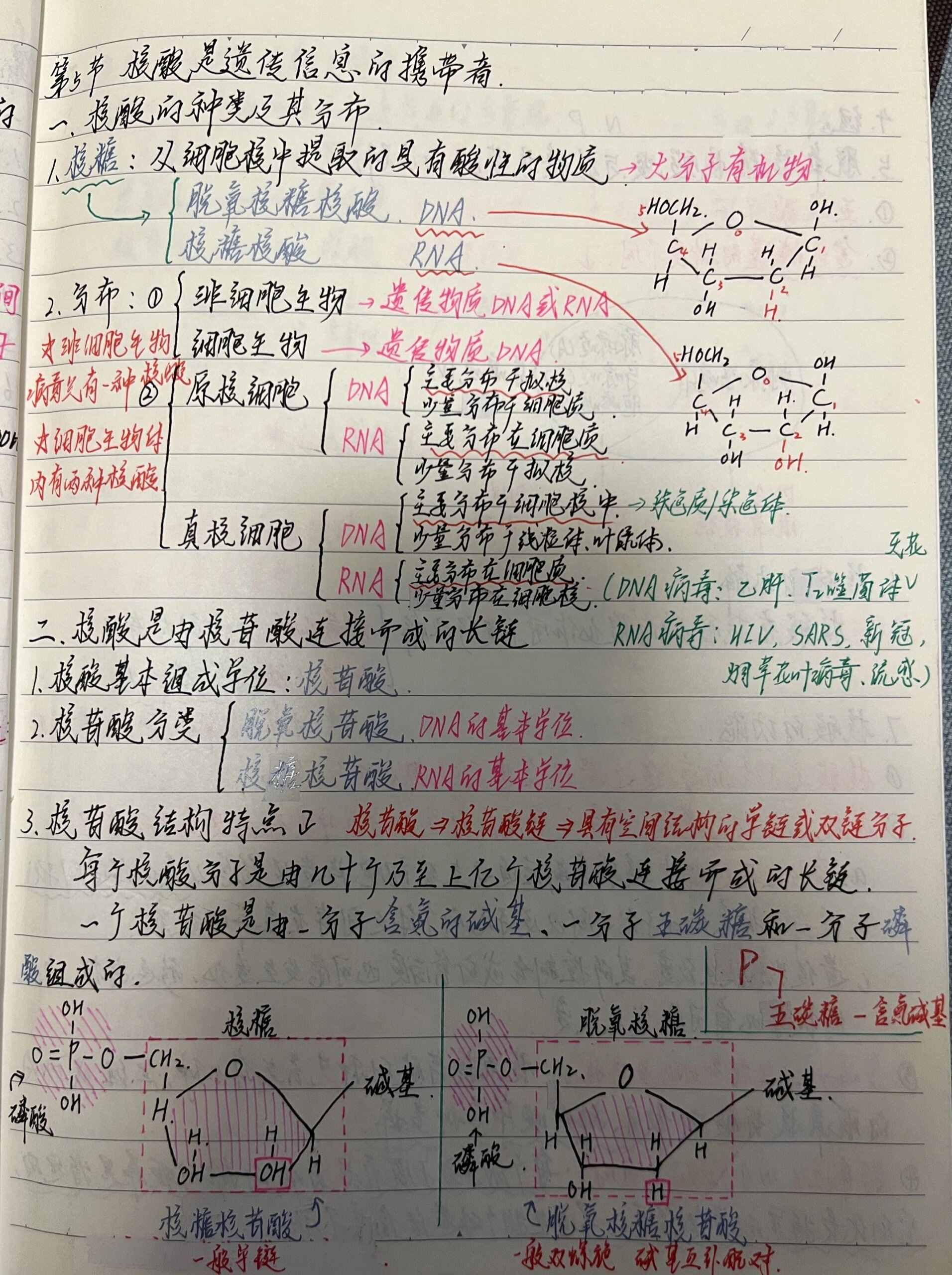 生物00高一必修一第二章第五节笔记98