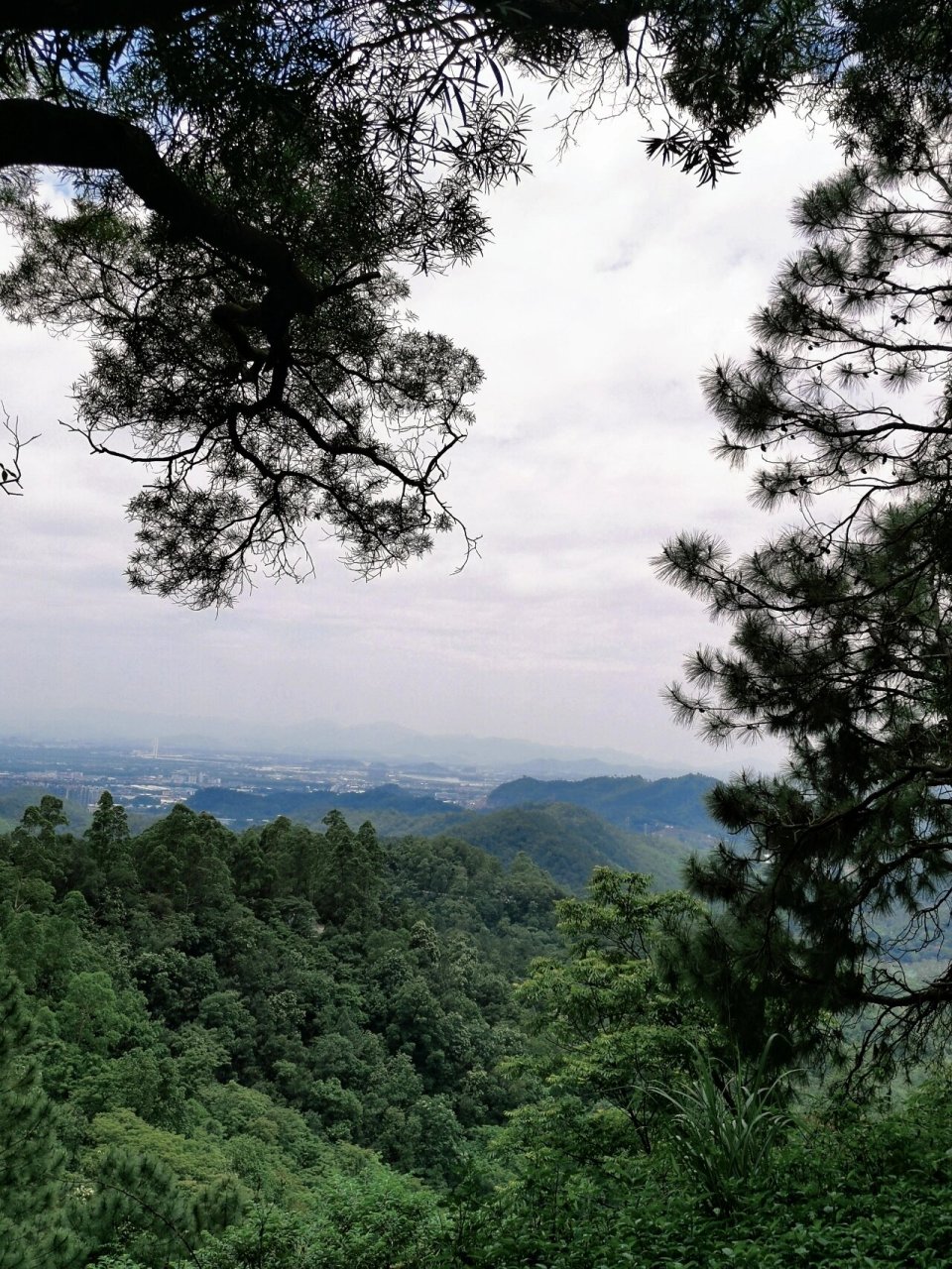 📷随手拍 | 新会圭峰山风景篇 记录一下, 5月份跟朋友爬山随手拍摄