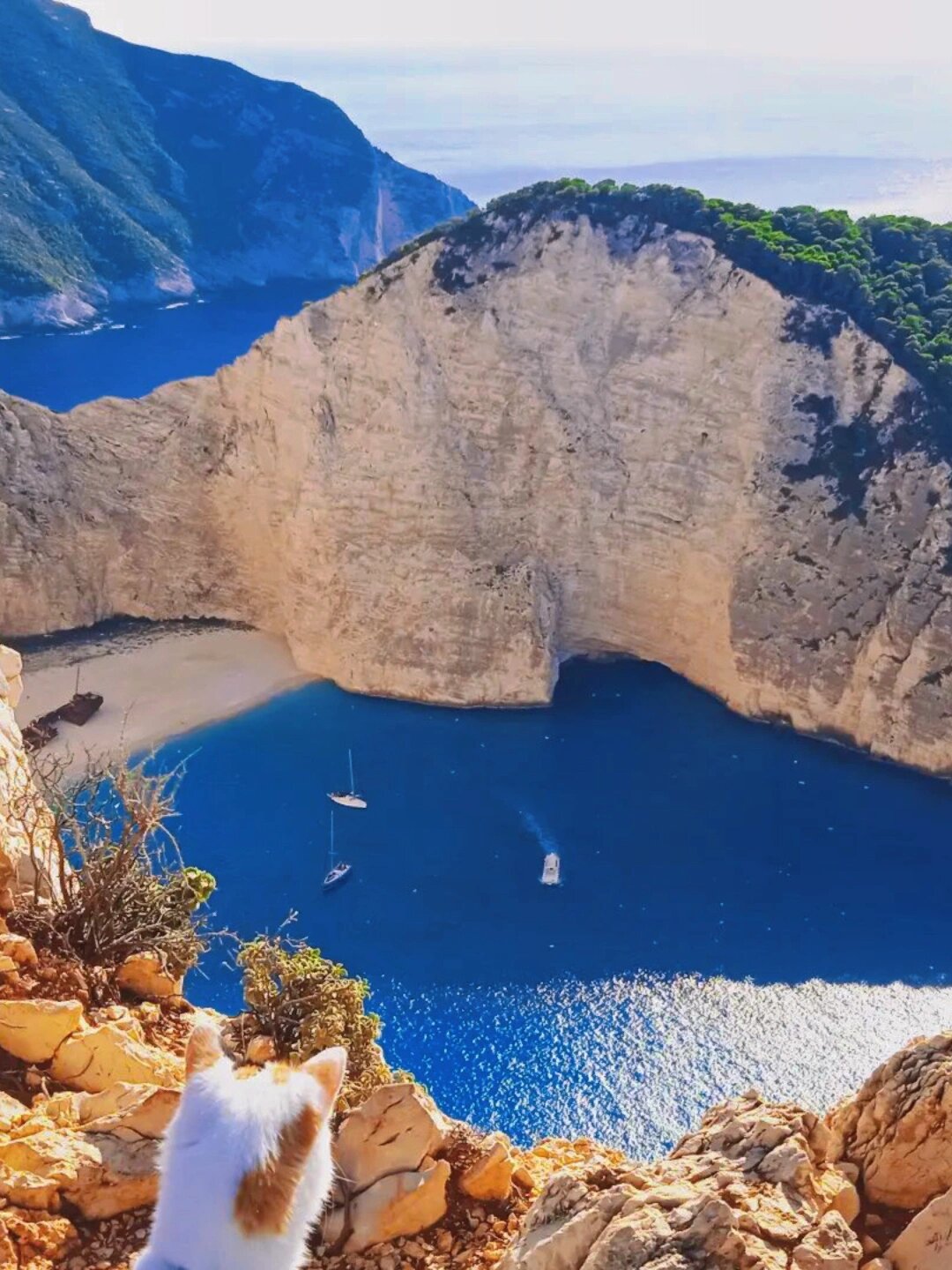 希腊沉船湾|美到令人失语的蓝