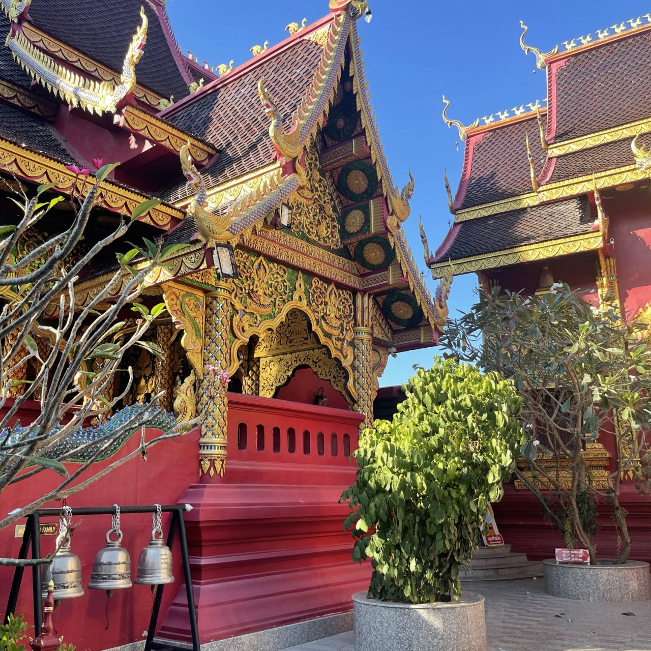 清迈-古巴杰士达  晚点写介绍给大家 最近在清迈欠了好多作业