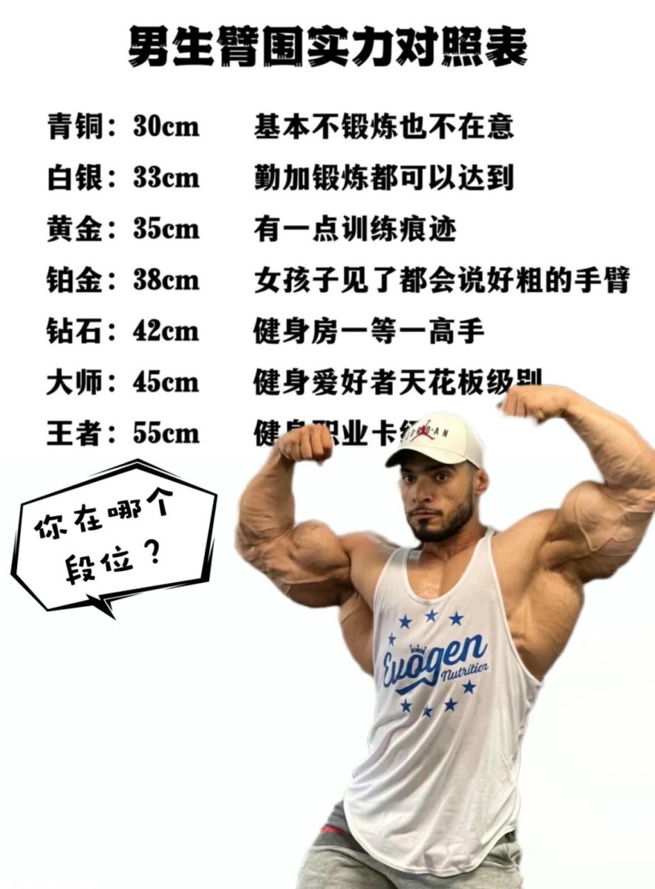男生臂围对照表,你在哪个段位